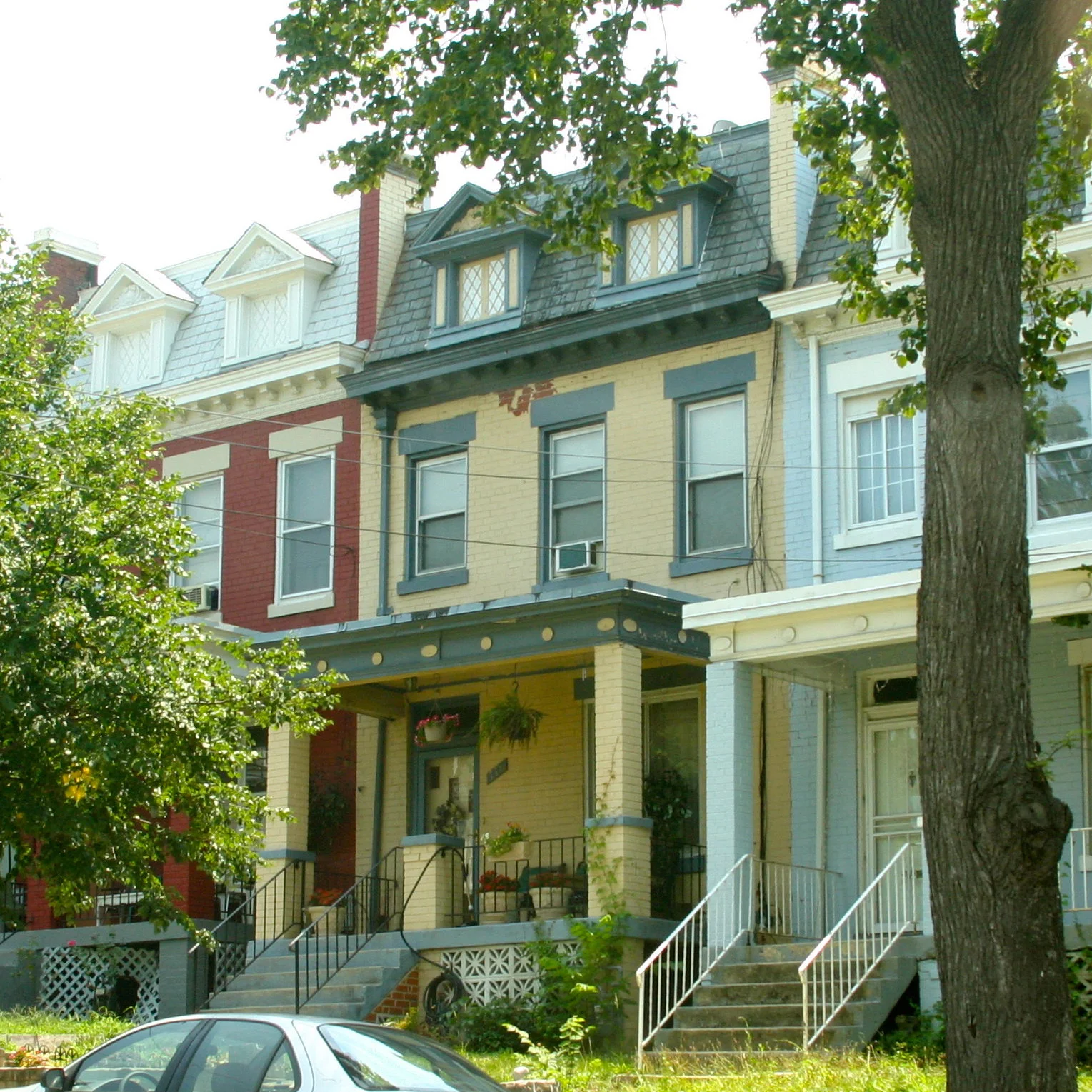 Walking Washington With The Prince of Petworth