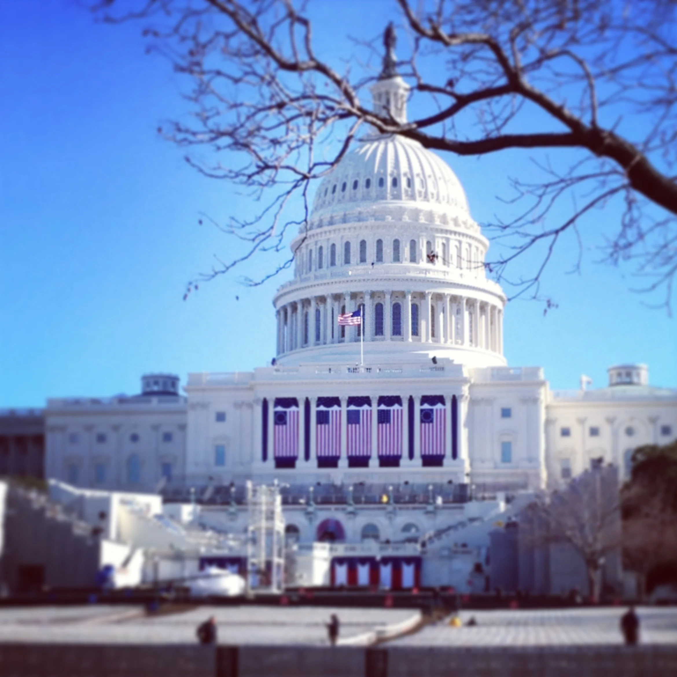 Inauguration Through the Eyes of a DC Neighbor
