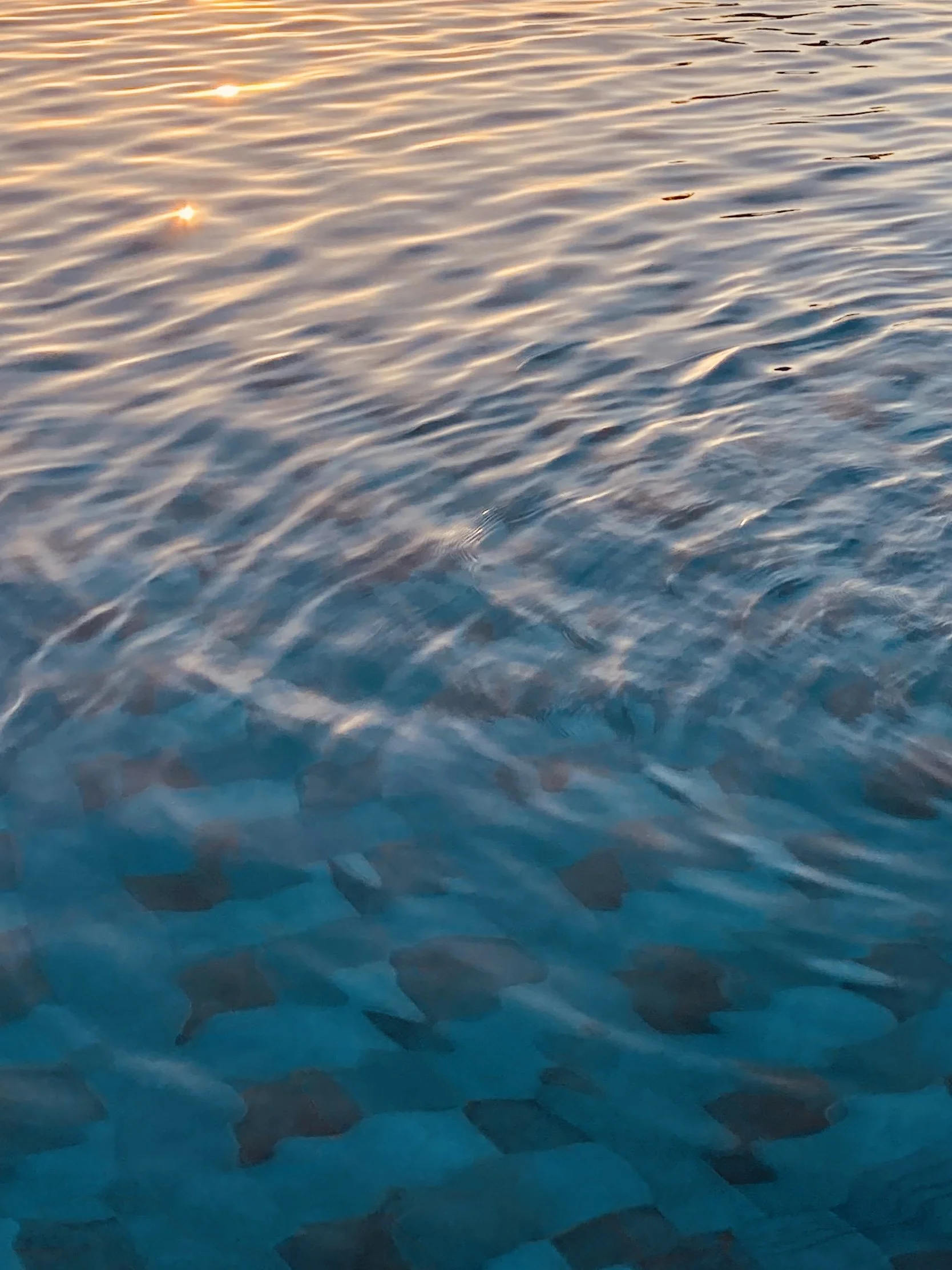 At Home on the Water