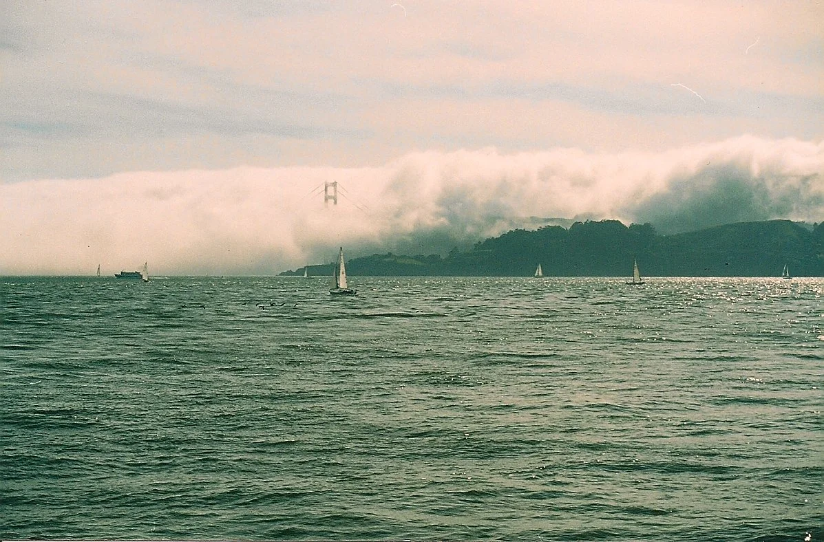 It's Never This Humid at Nob Hill Cafe