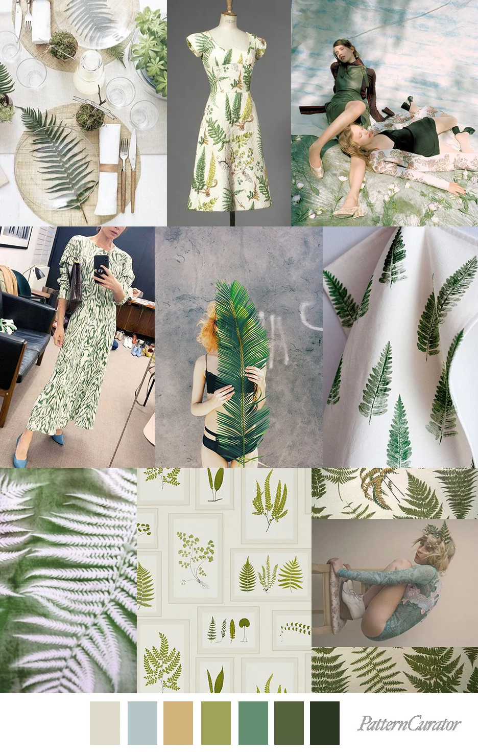 FEMME FERN