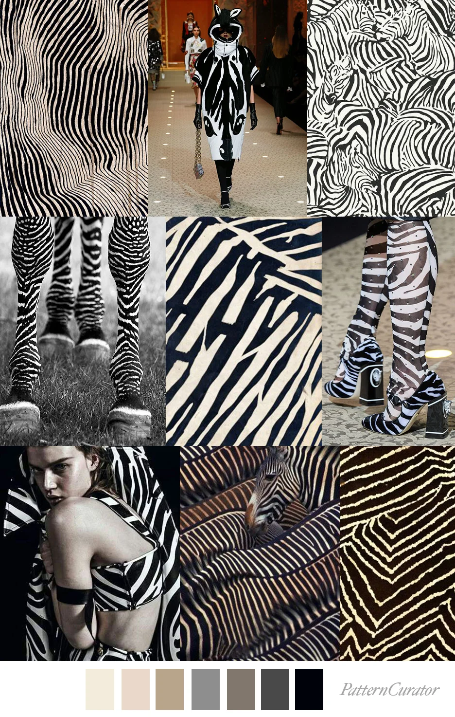 ZEBRA LINES