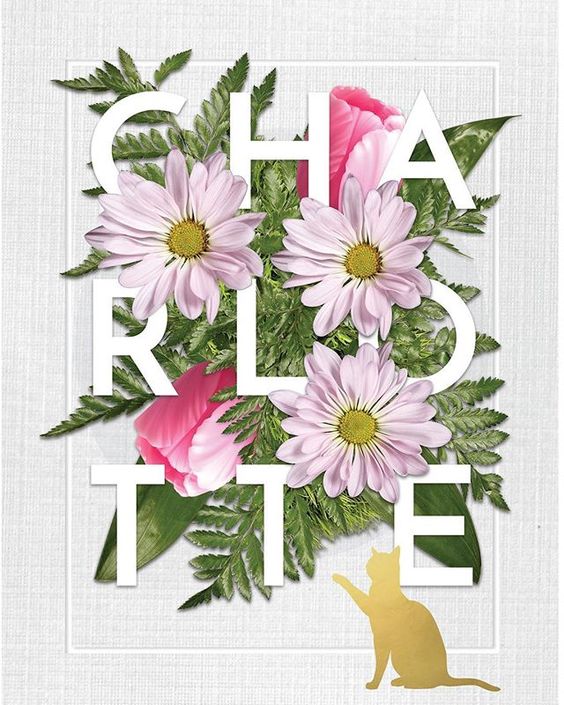 @littlemahuta.co.nz