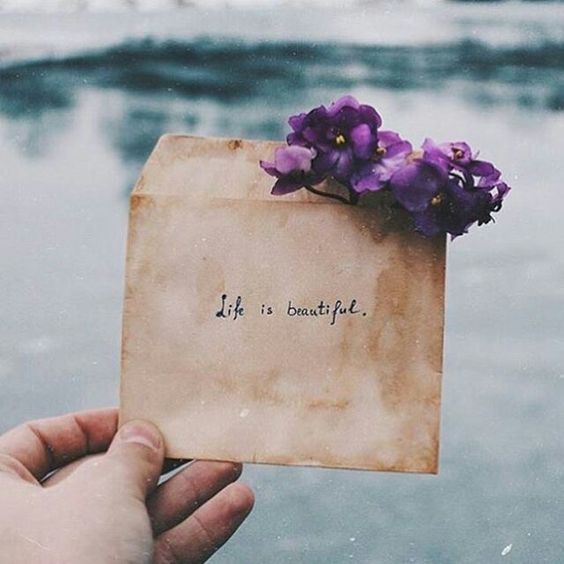 GO-MSNH.TUMBLR.COM