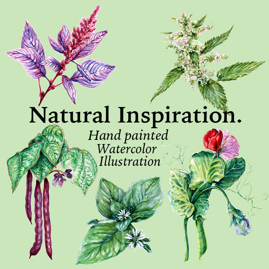 LYN ALICE, ILLUSTRATOR &amp; DESIGNER, &nbsp;Savannah Georgia Area