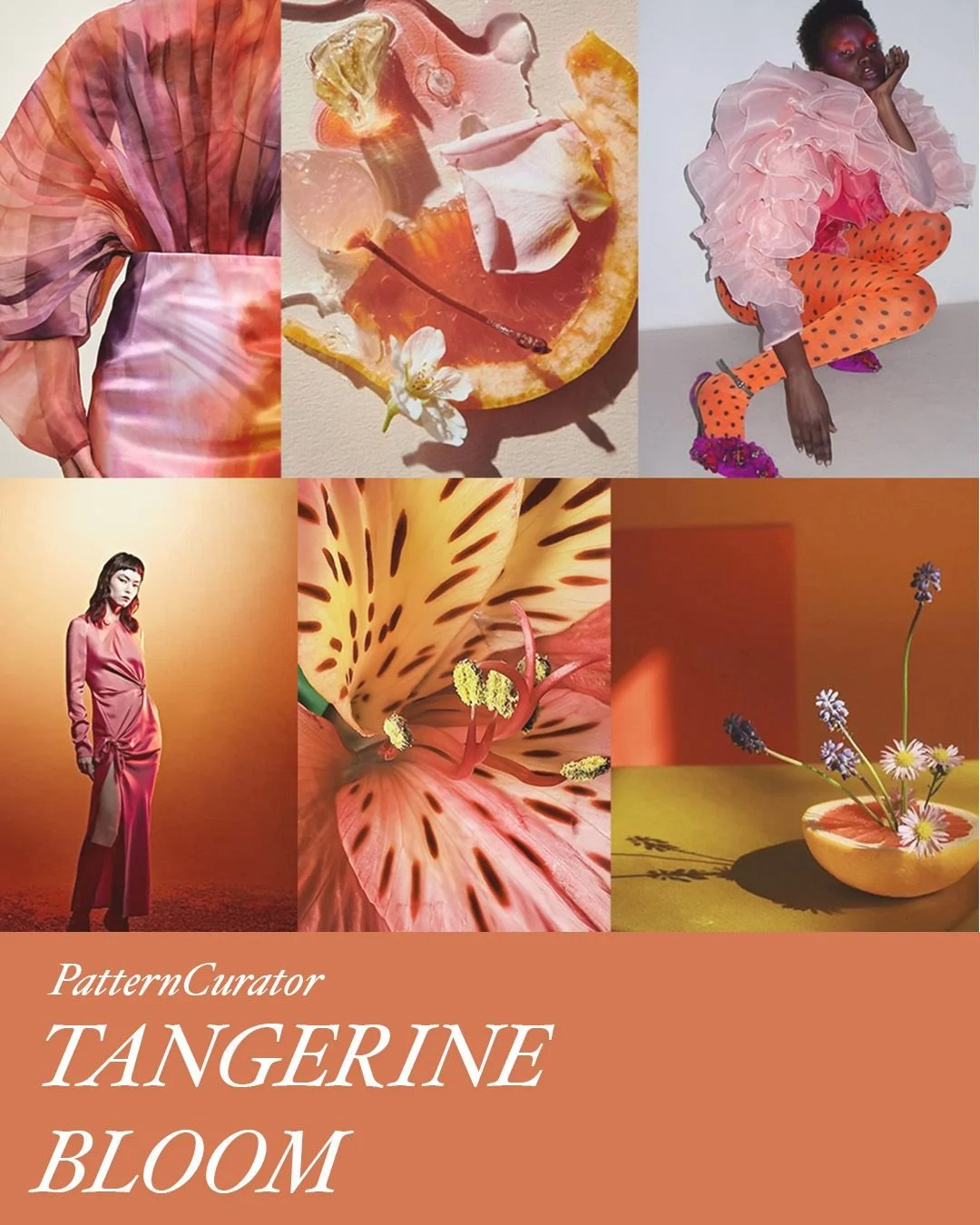 A citrus-sweet collision of color and form, Tangerine Bloom is where saturated florals meet surreal styling. Shades of melon, coral, blush, and poppy layered in petal-like silhouettes soften the impact. Radiant, romantic, and playful.

'TANGERIN BLOO