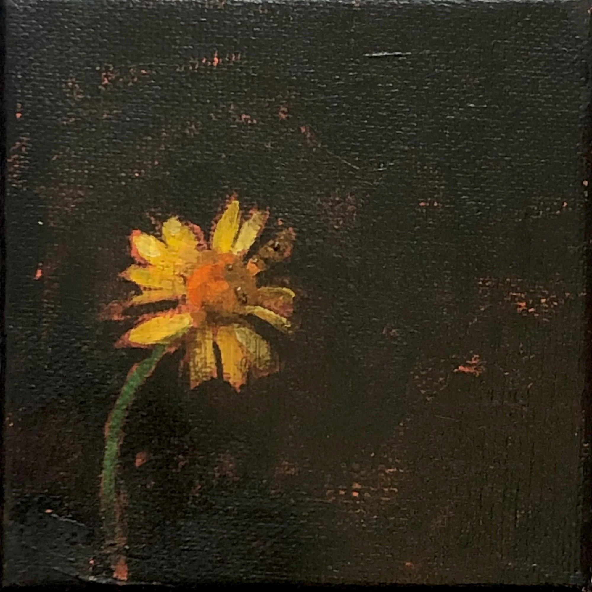 Number 95, 100 100 exhibition