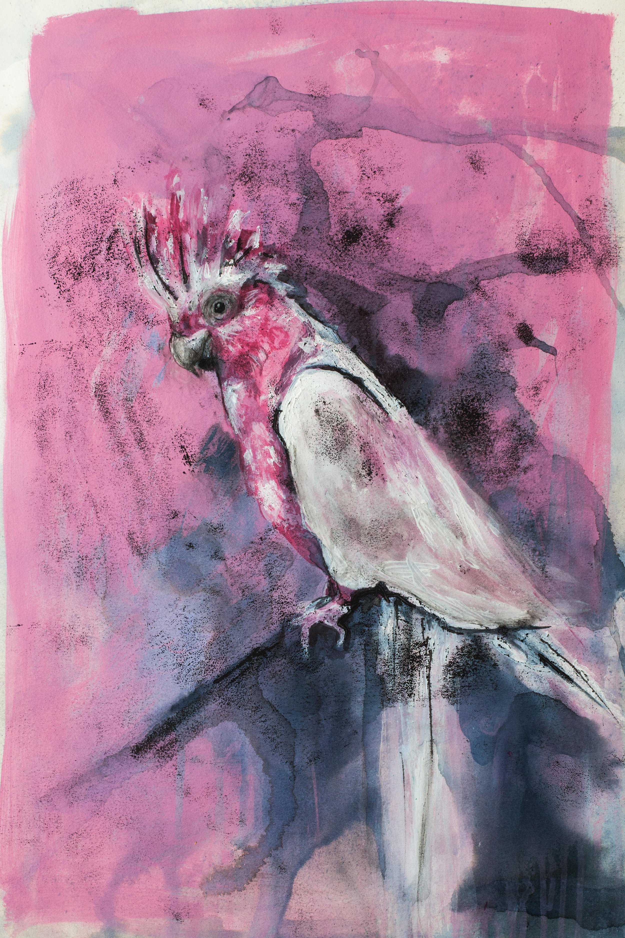 Pink Cockatoo painting