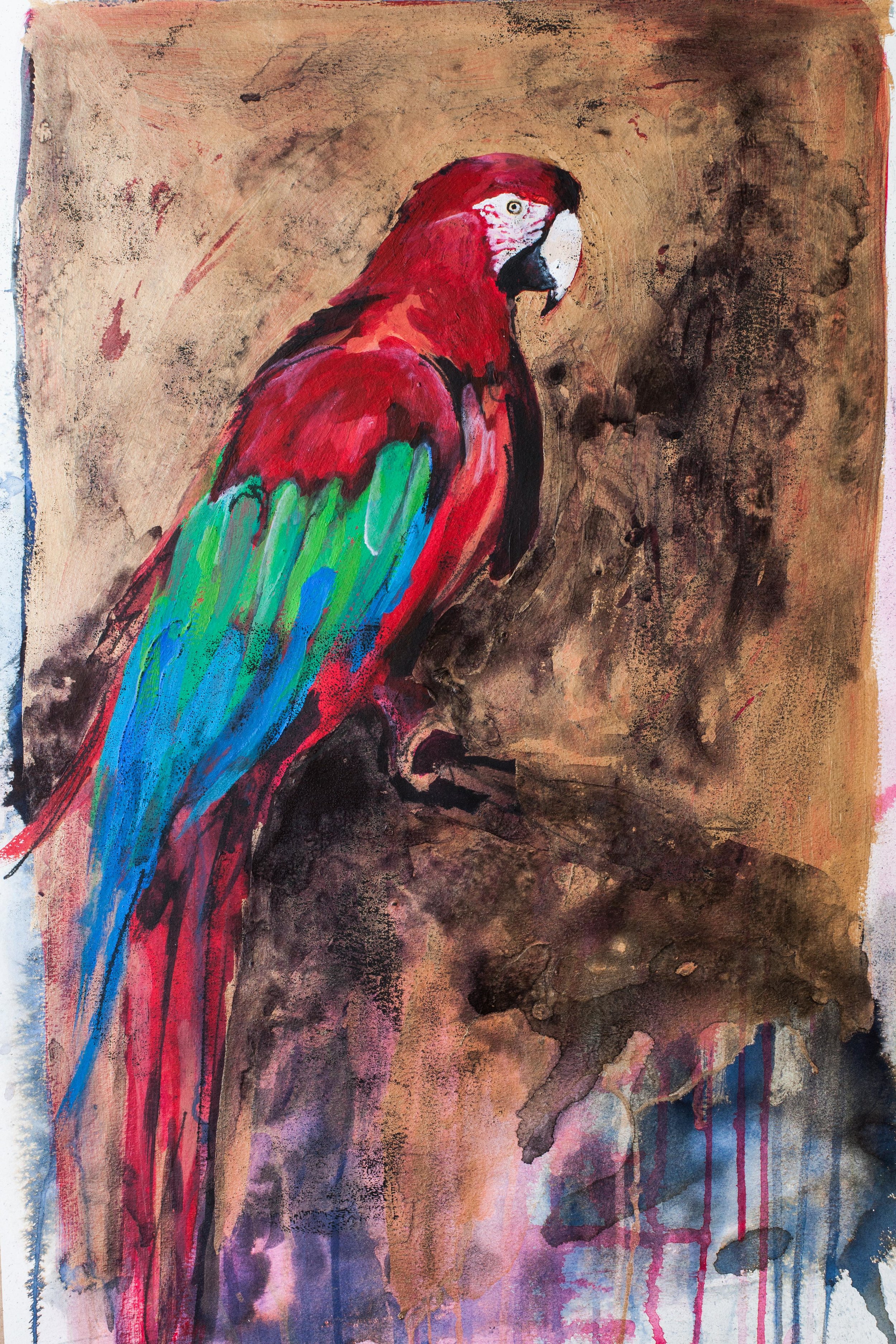 Red Parrot Painting
