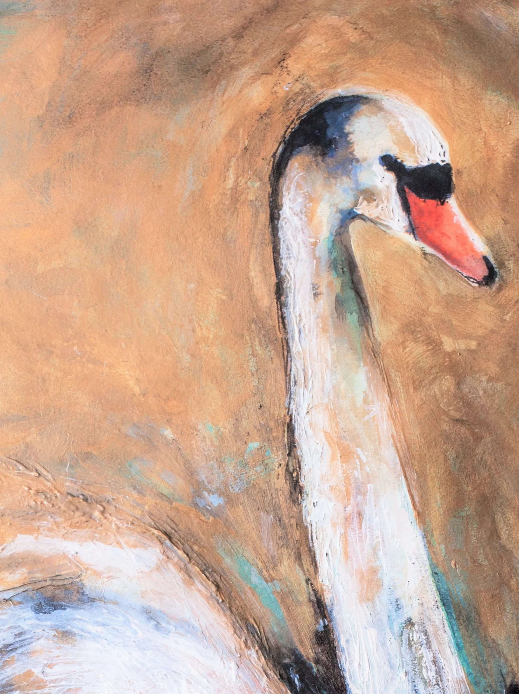 Swan painting
