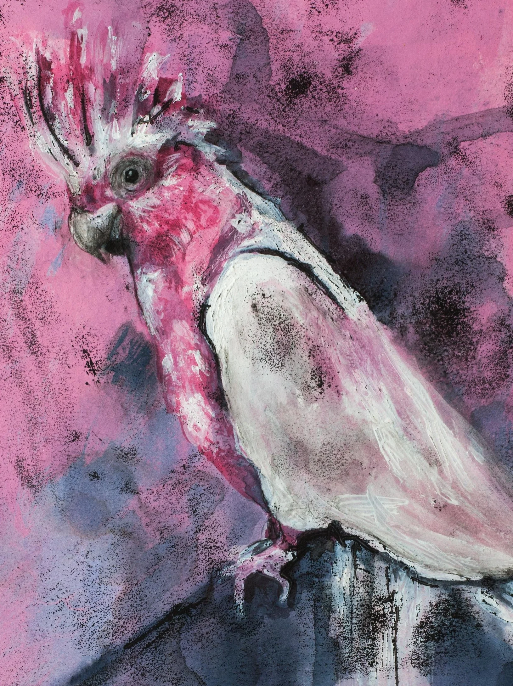Pink Cockatoo painting
