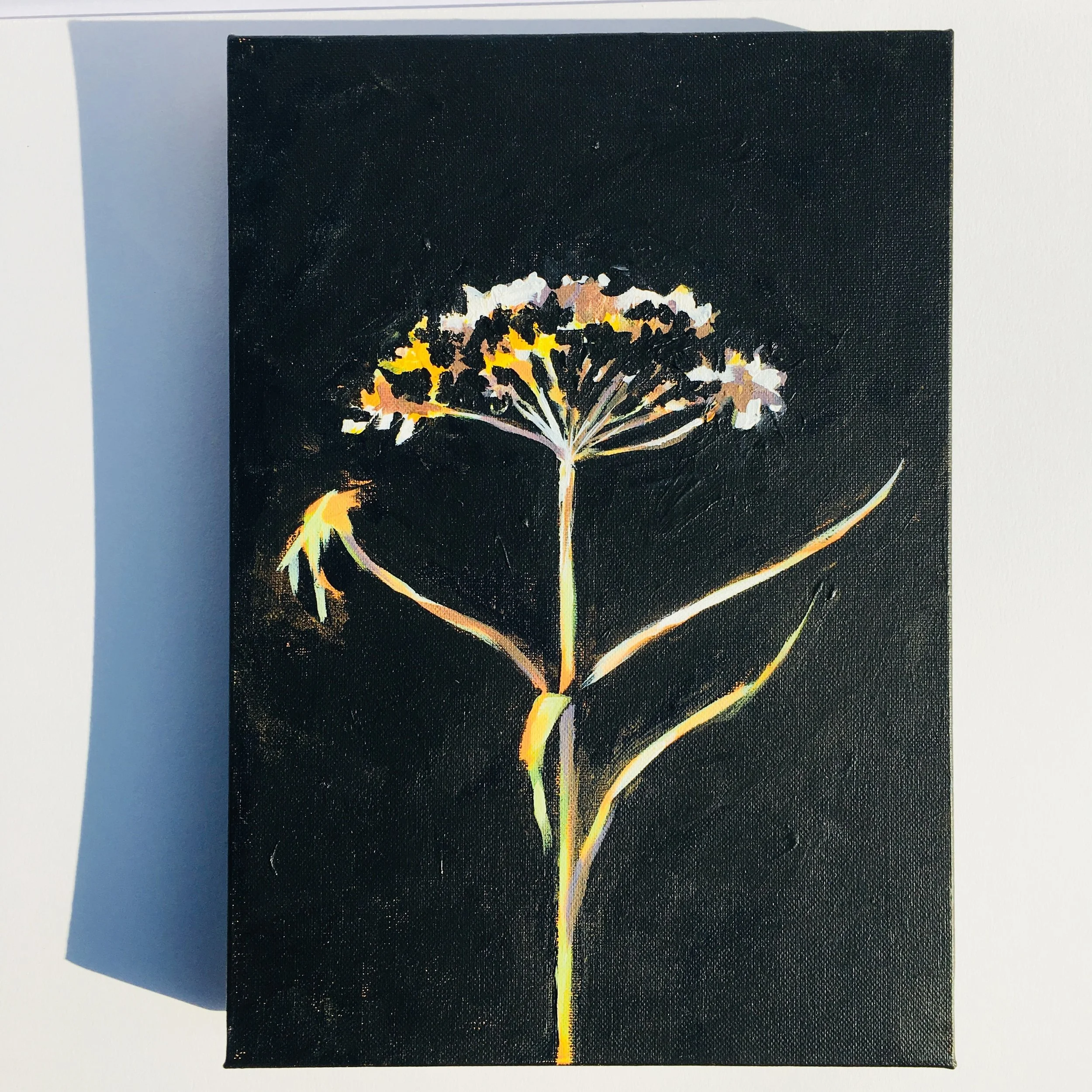 cow parsley painting