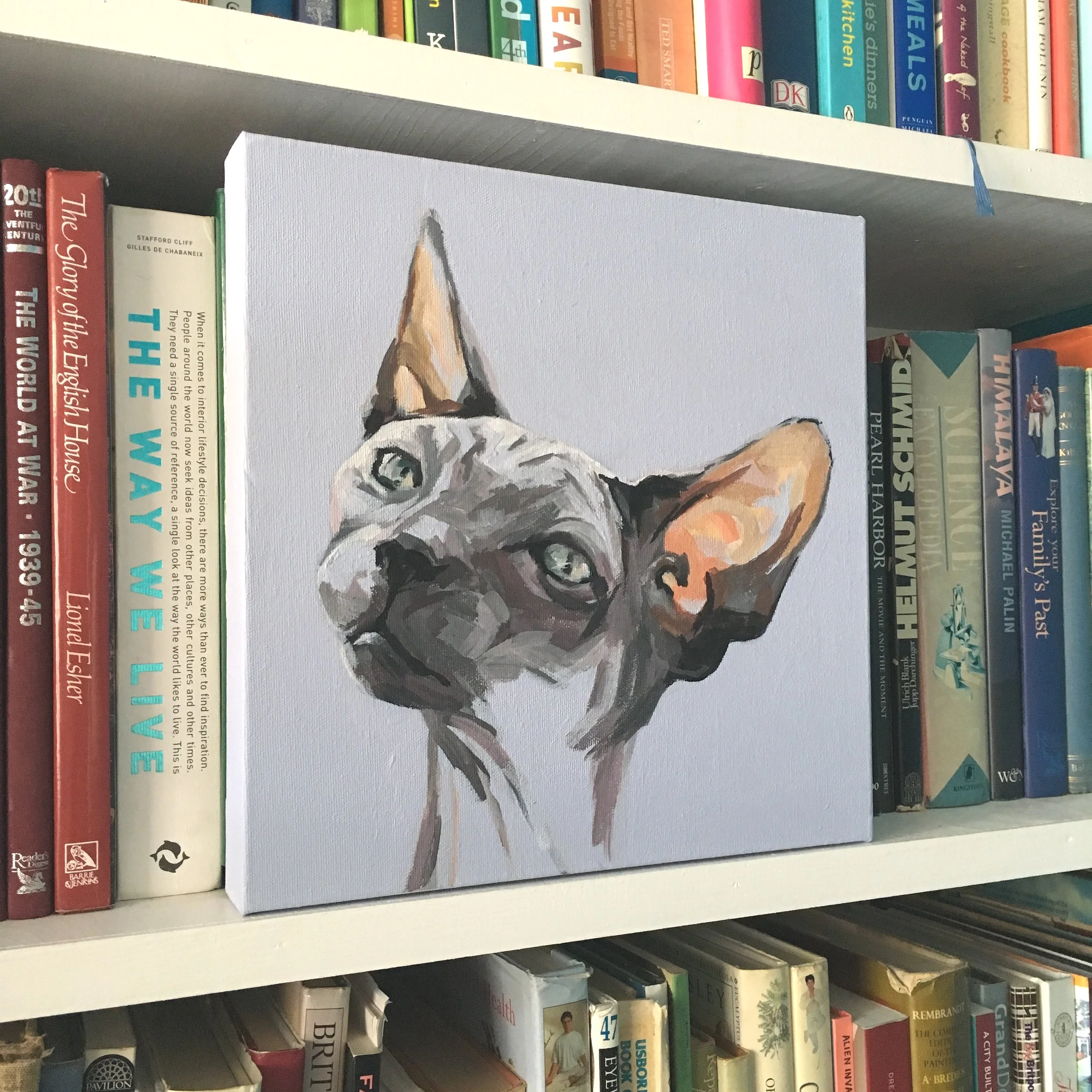 cat pet portrait by flo lee