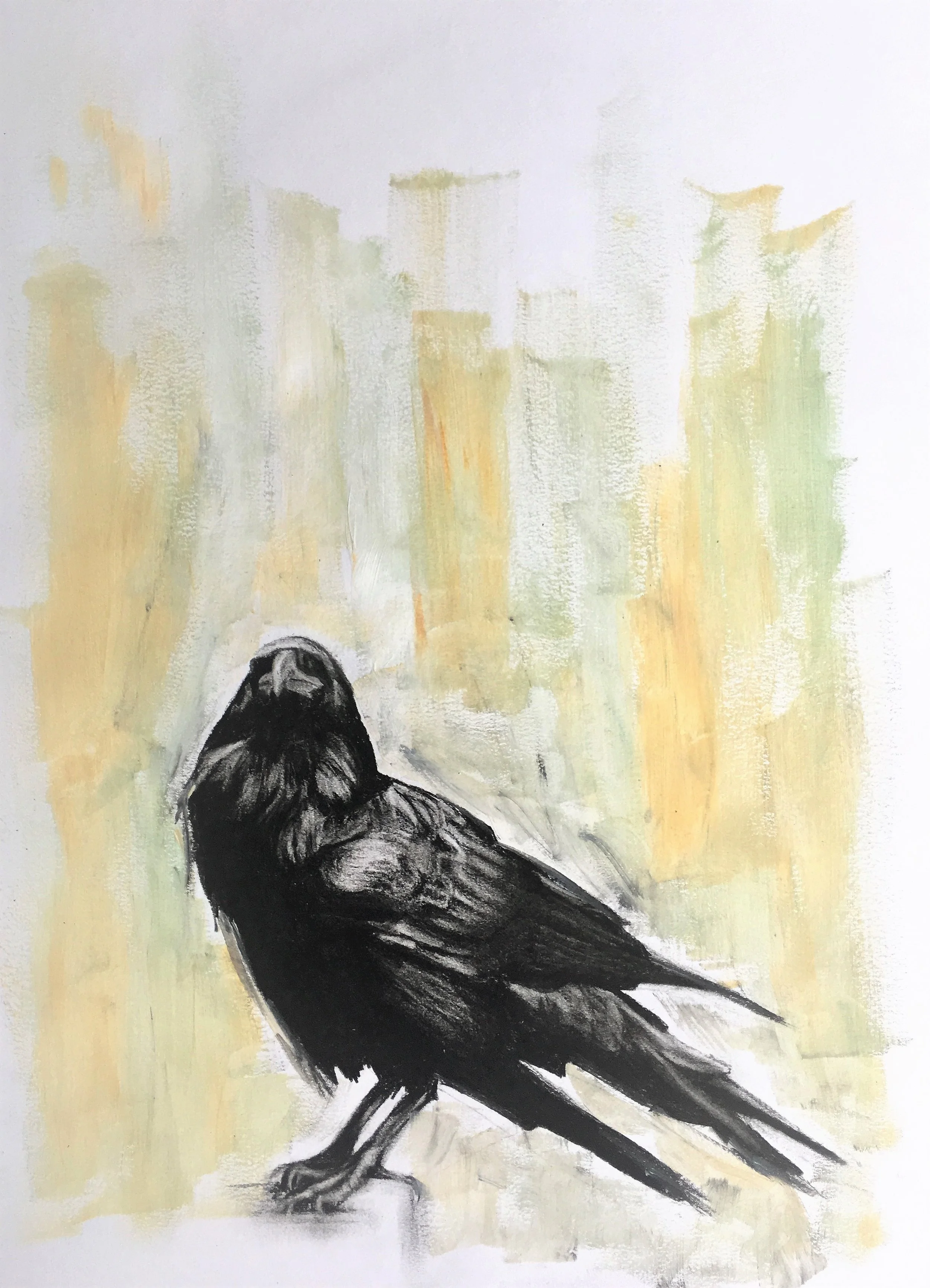crow full image.jpg