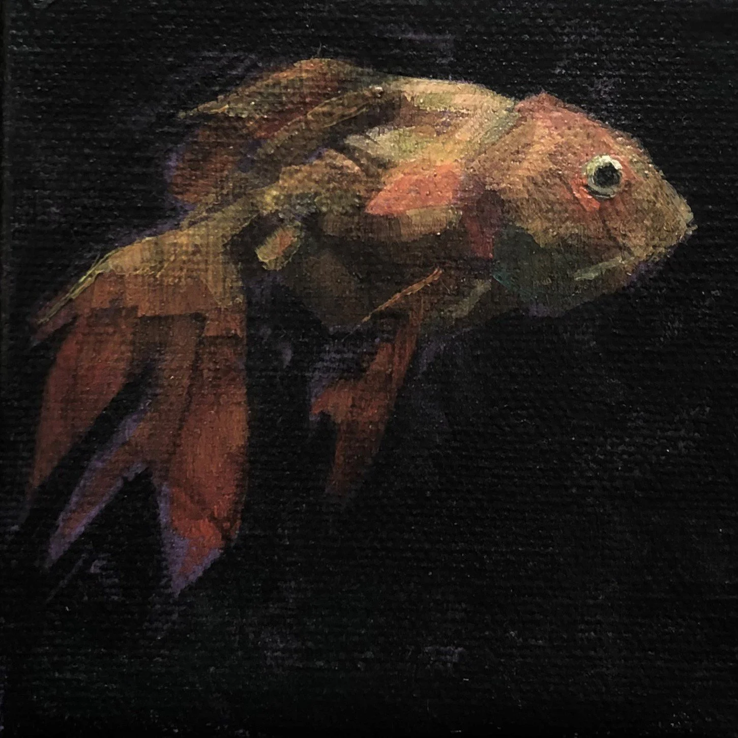 Number 61, 100 100 exhibition