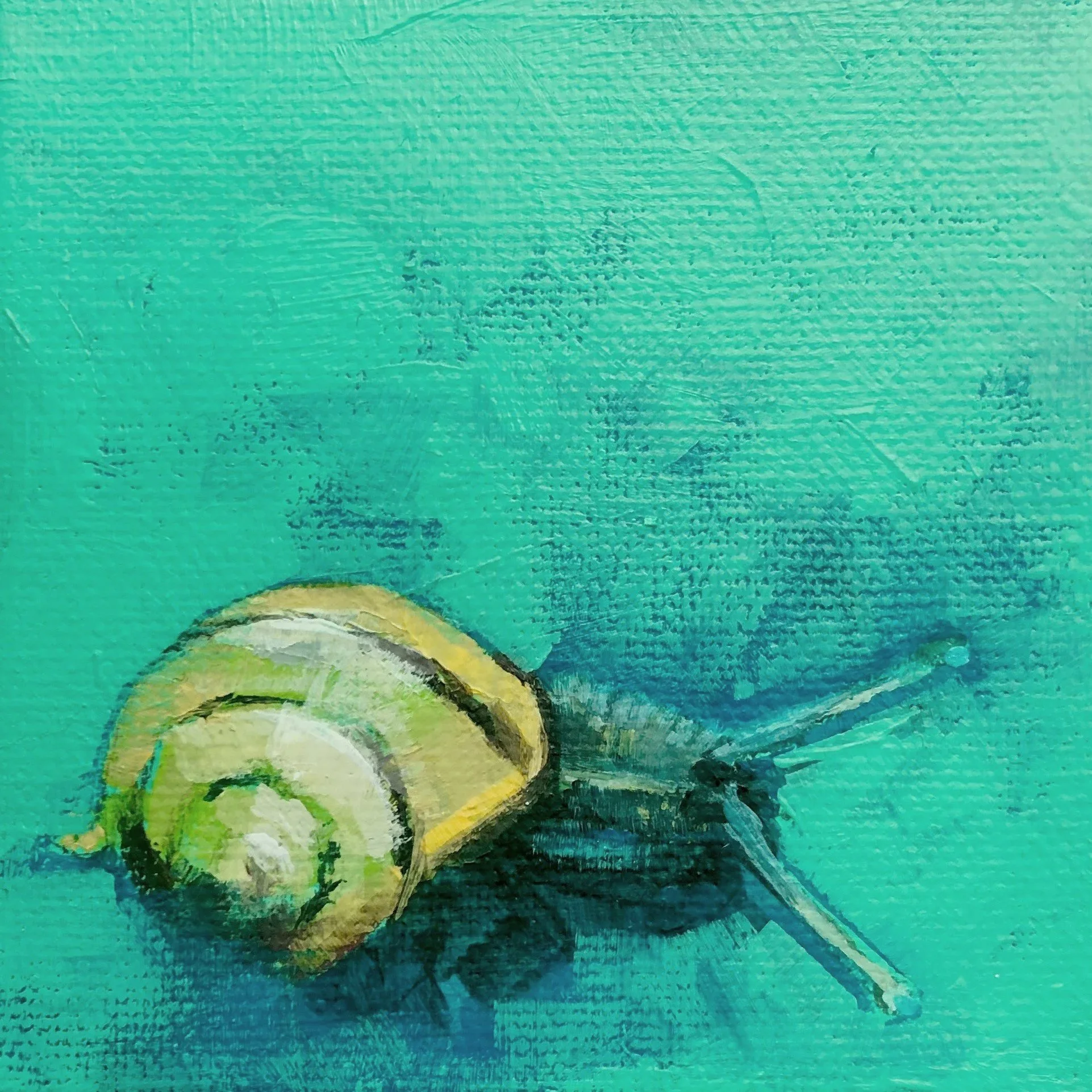 Number 62, 100 100 exhibition