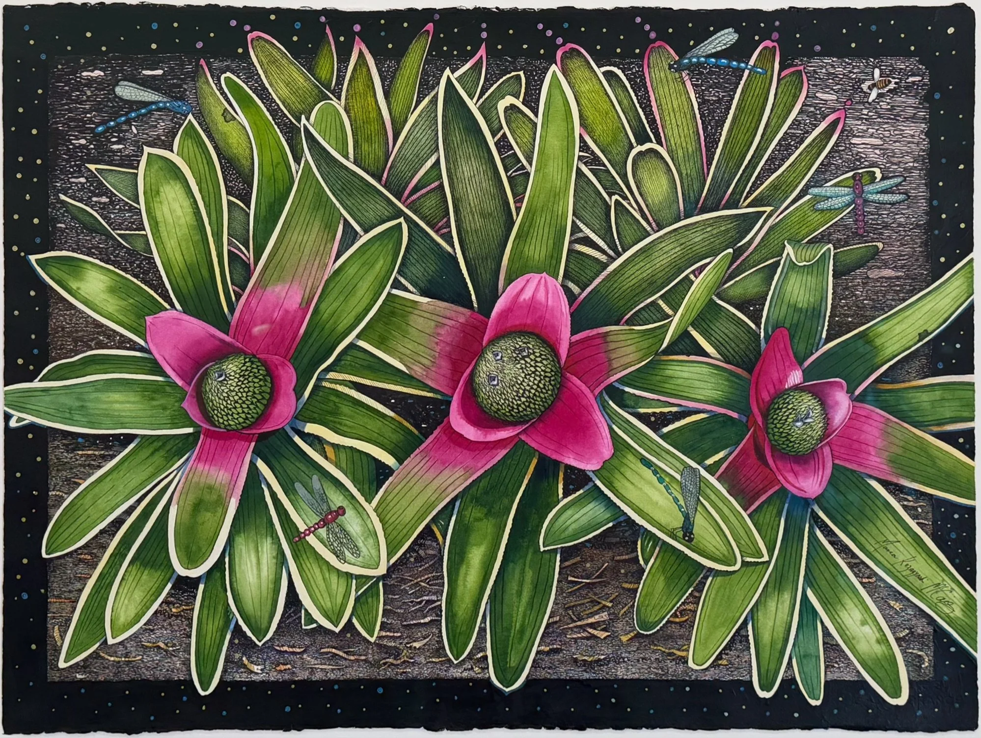 Bromeliads ARTWORK.jpeg