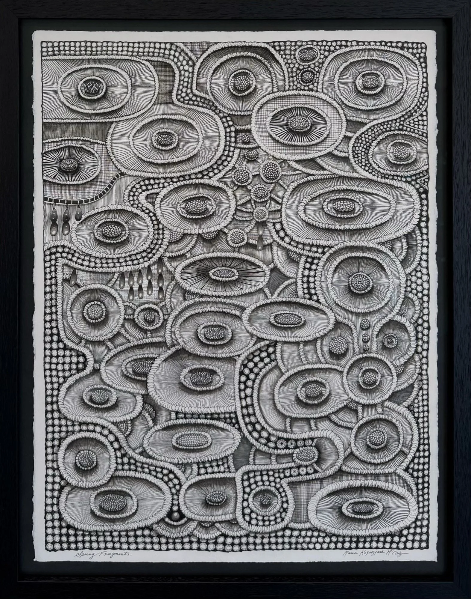 Spring Fragments.jpeg