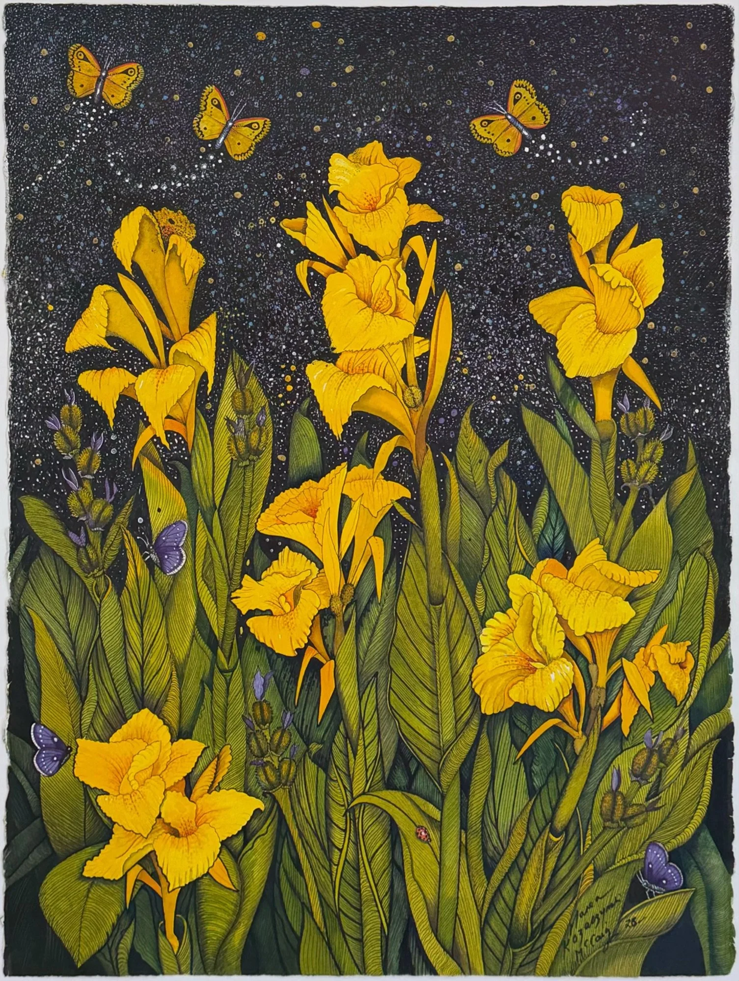 Canna Lilies ARTWORK.jpeg