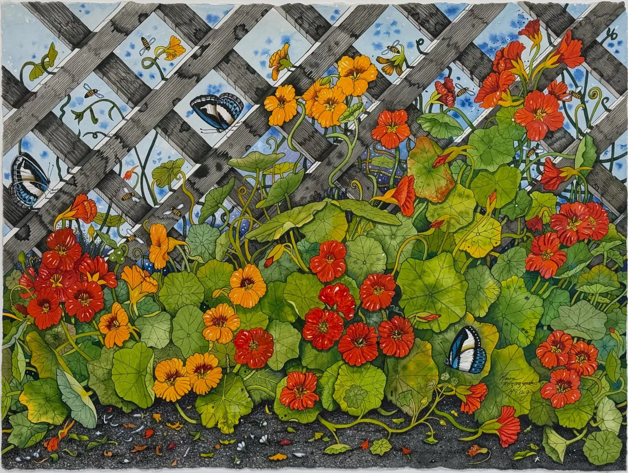 Nasturtiums ARTWORK.jpeg