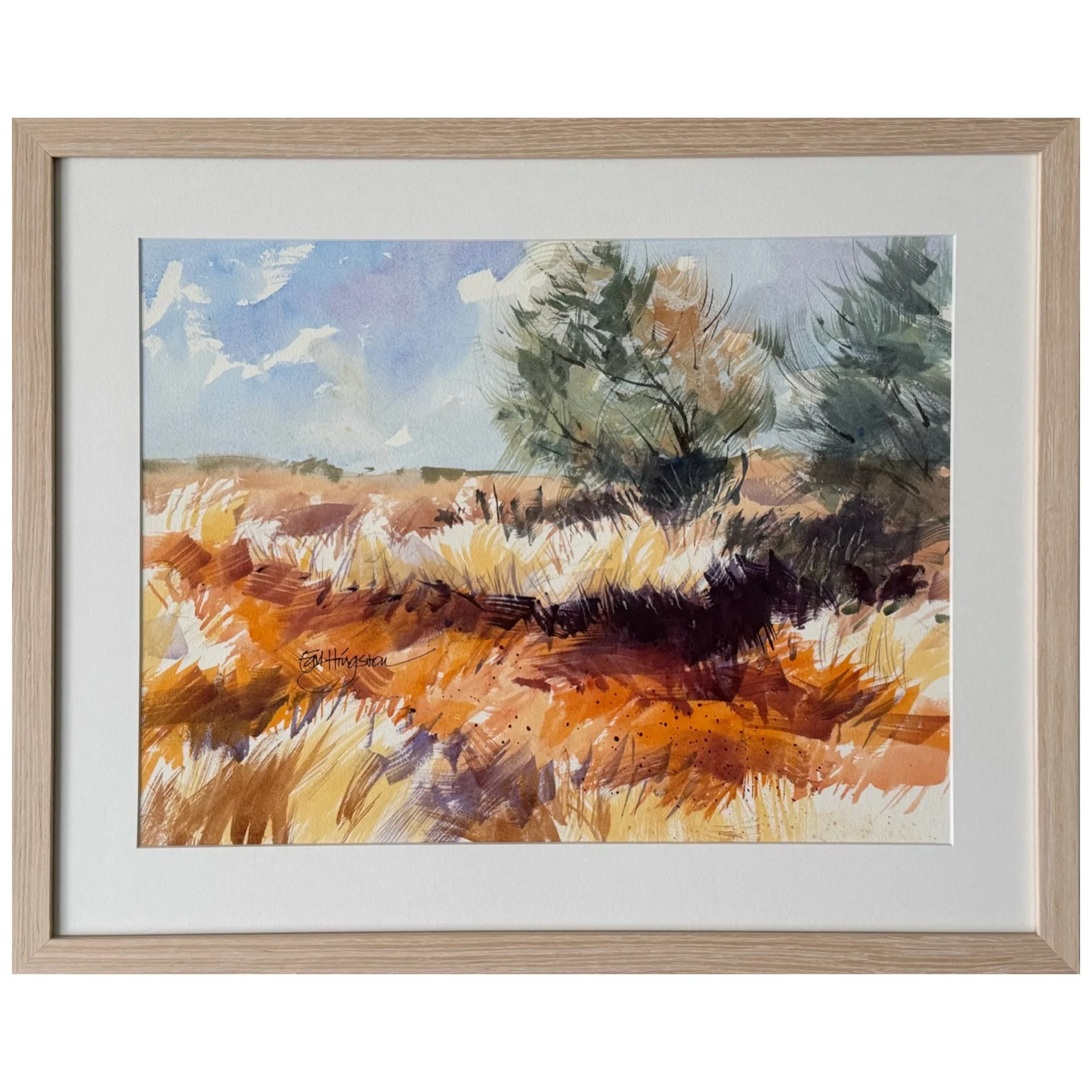 TUSSOCK PIC.JPG