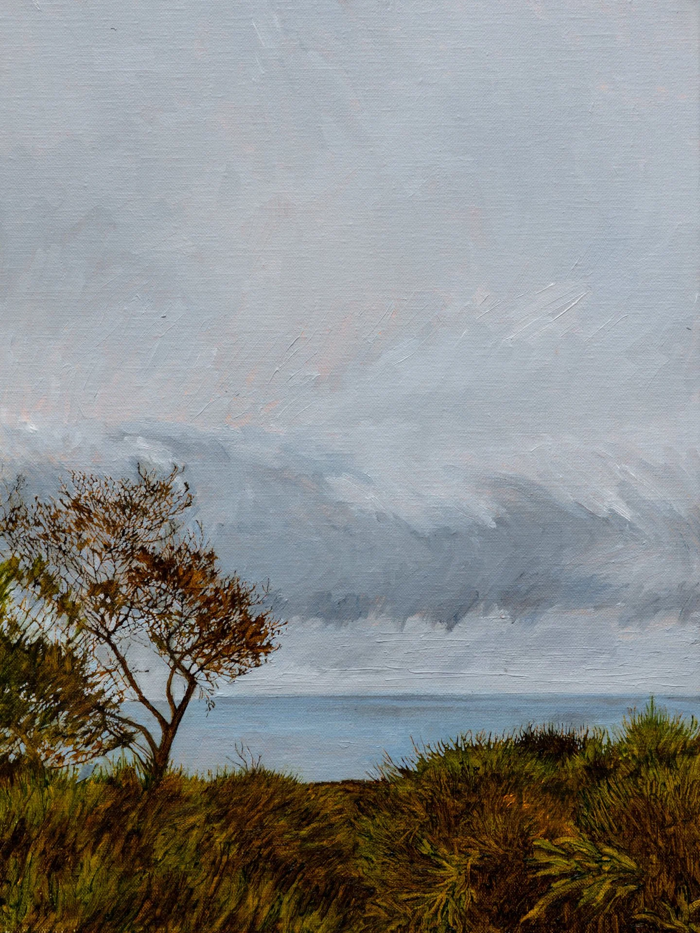 3. Grey Morning FILE.JPG
