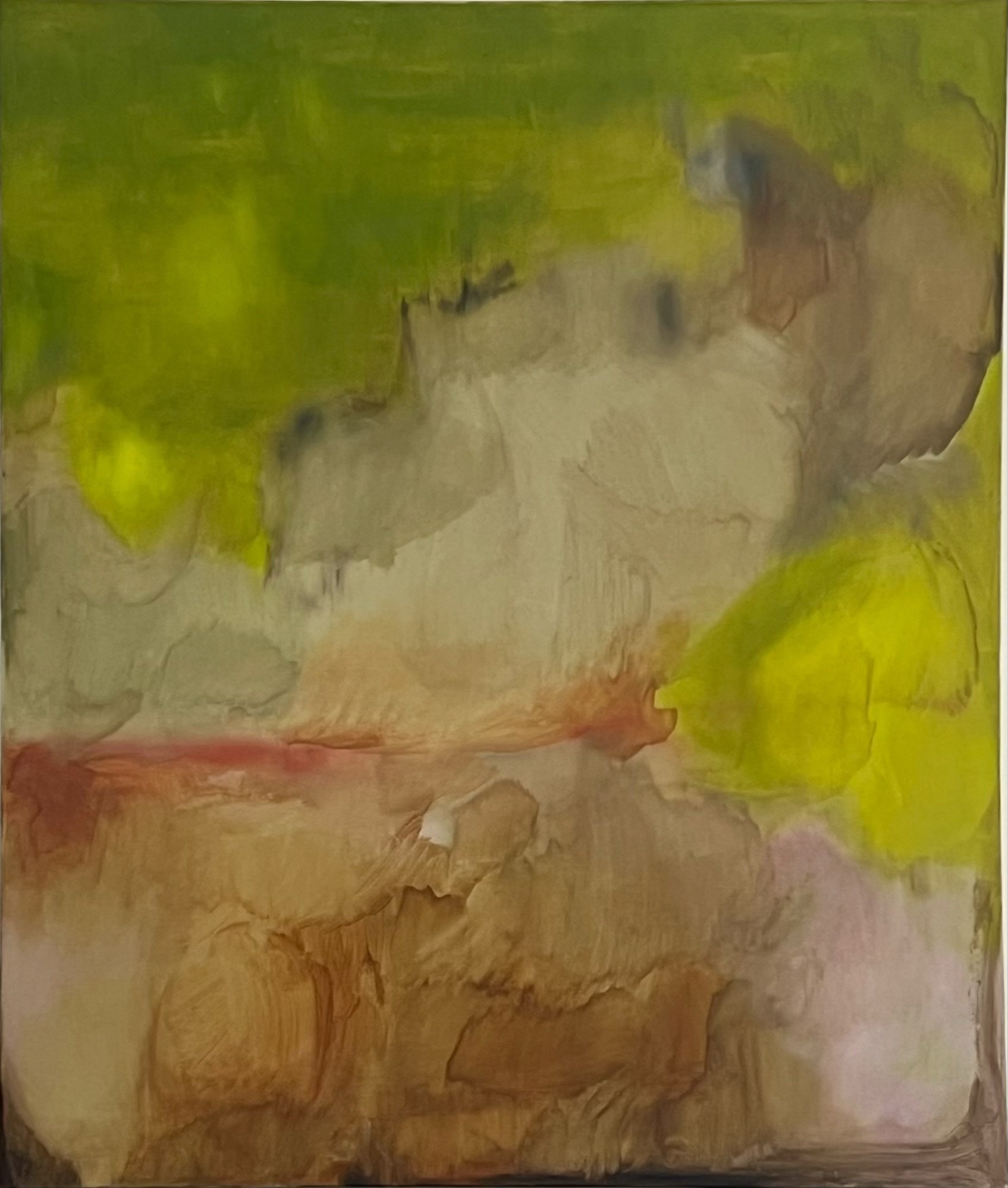 Park walks and counting birds.jpg