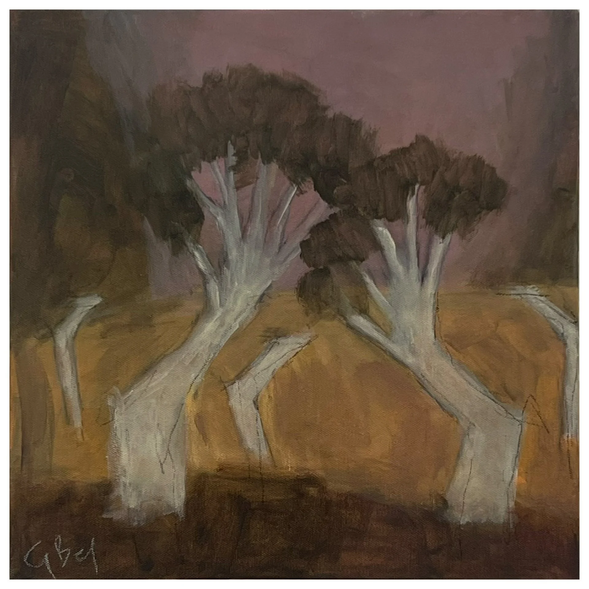 Calming Down pic.JPG