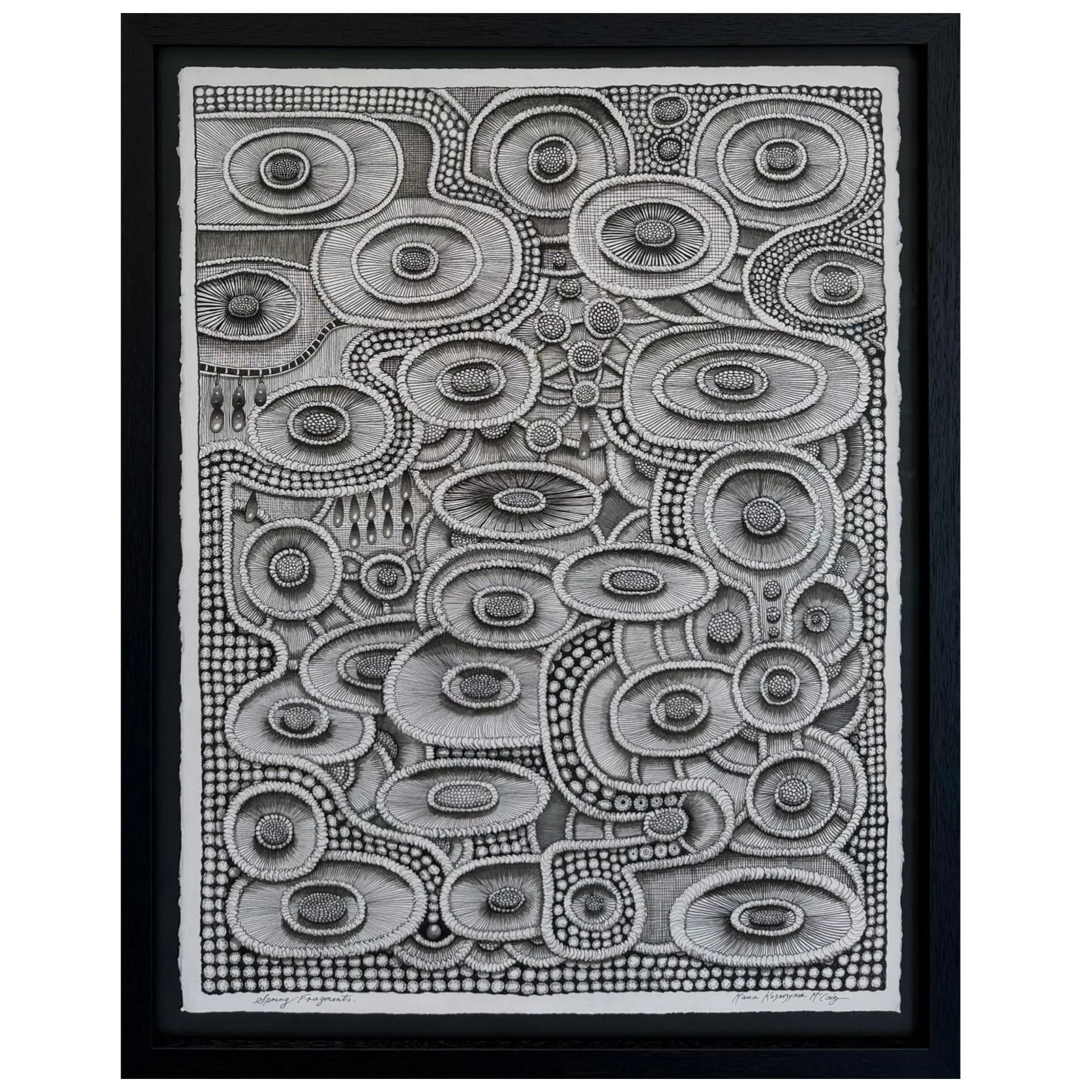 Spring Fragments PIC.JPG