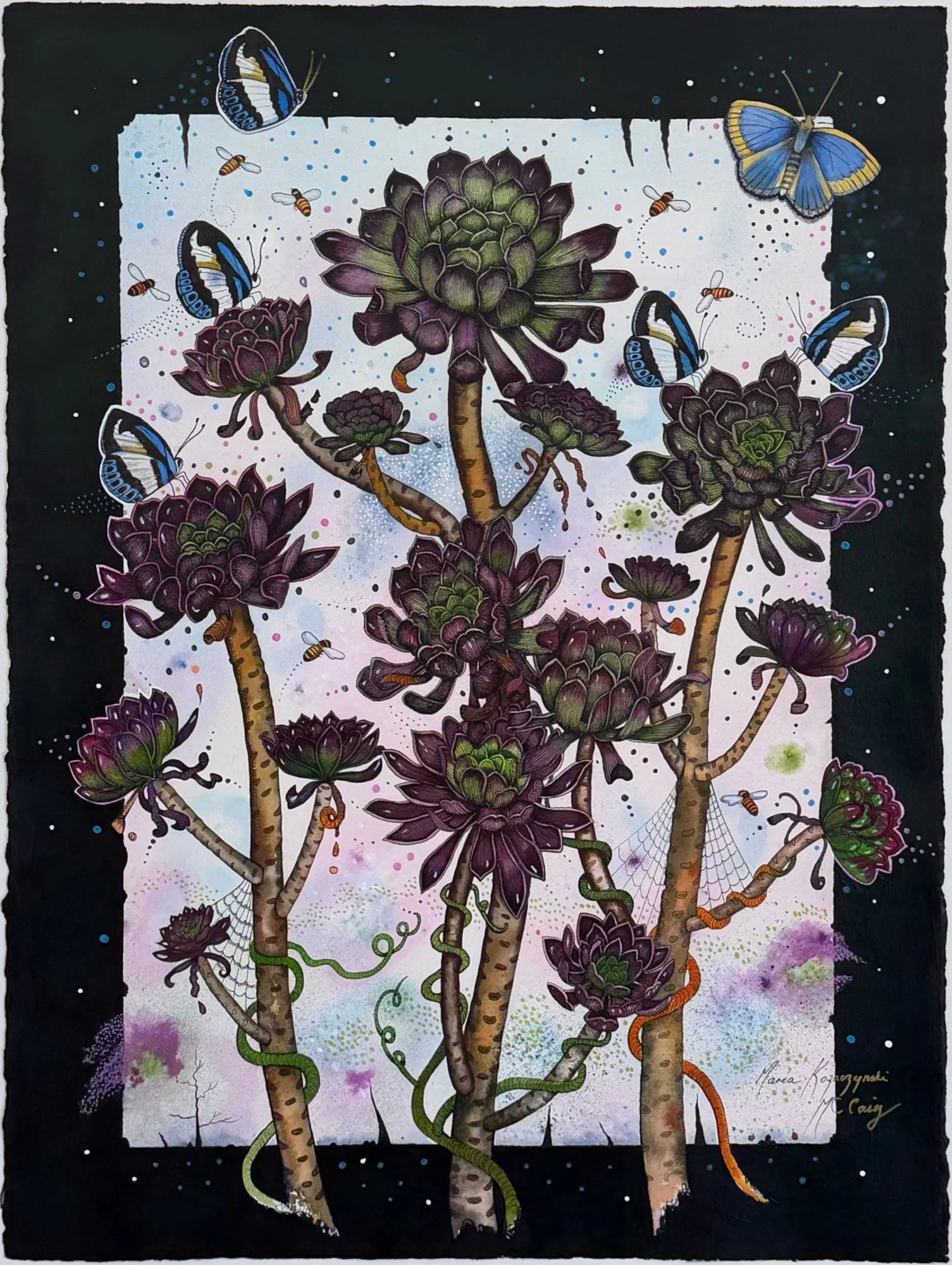 Black Rose ARTWORK.jpeg