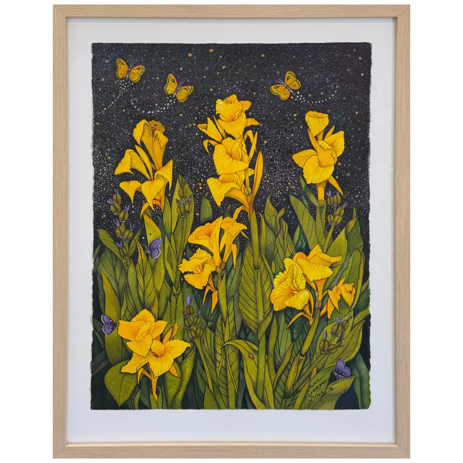 Canna Lilies PIC.JPG