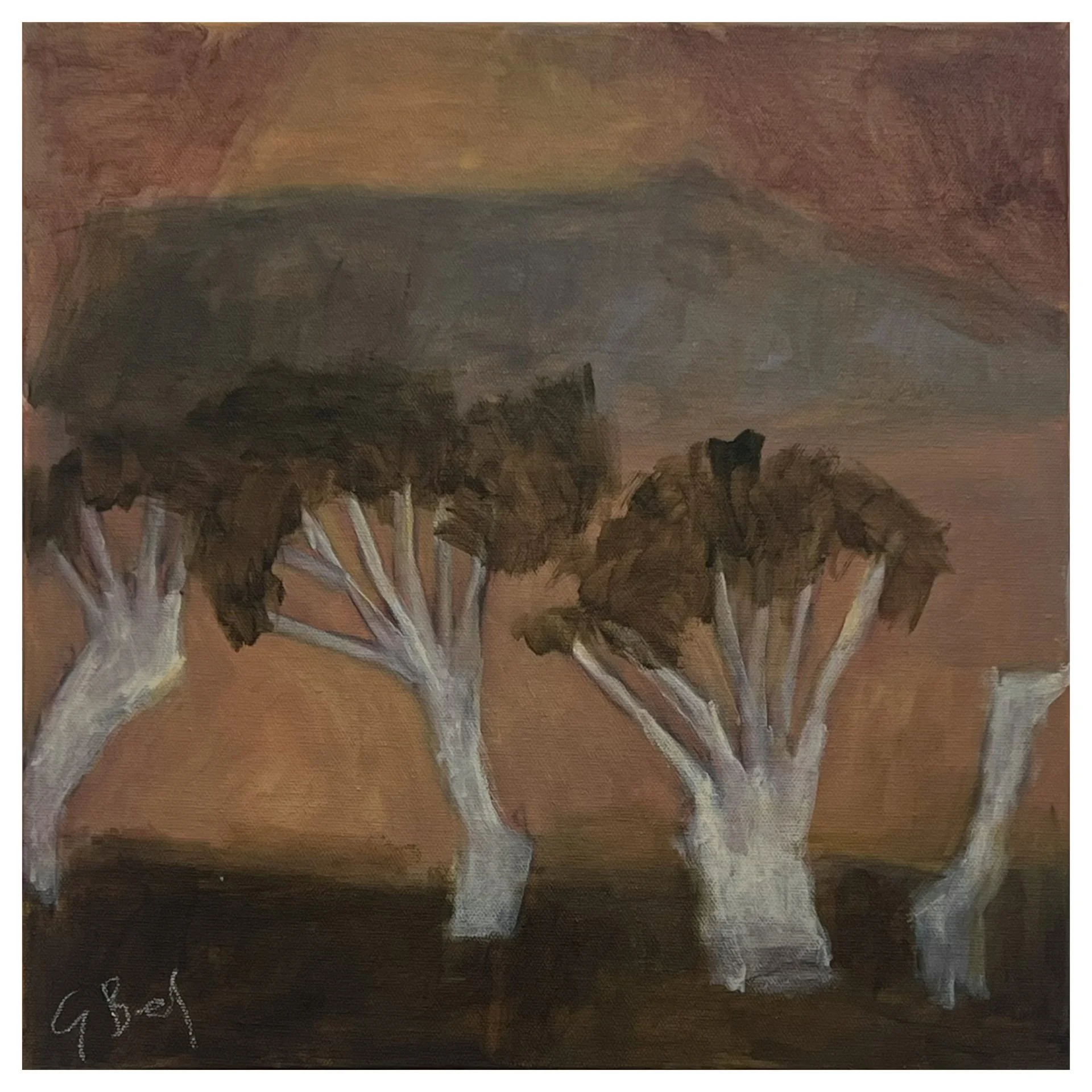 Blue Coloured Mountain pic.JPG