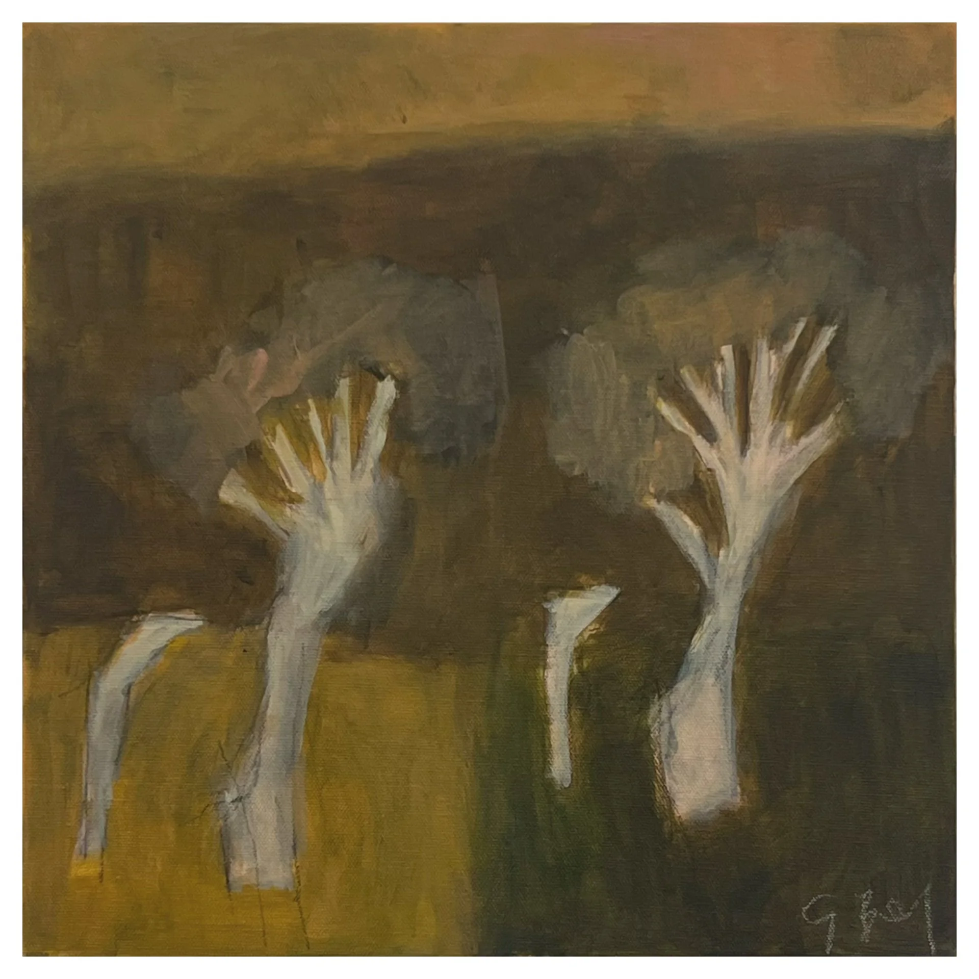 Warm Weather pic.JPG