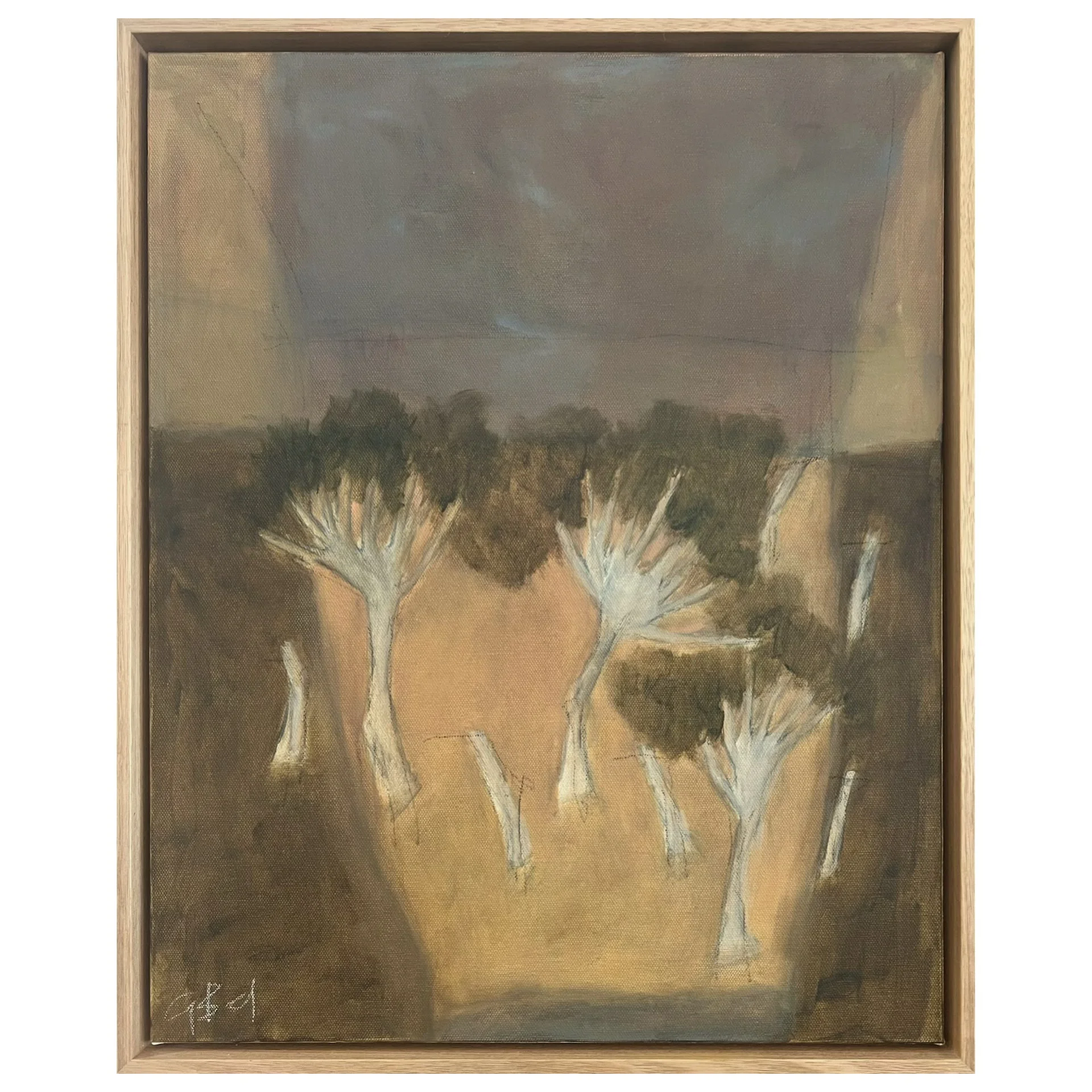 Storm Coming Over pic.JPG