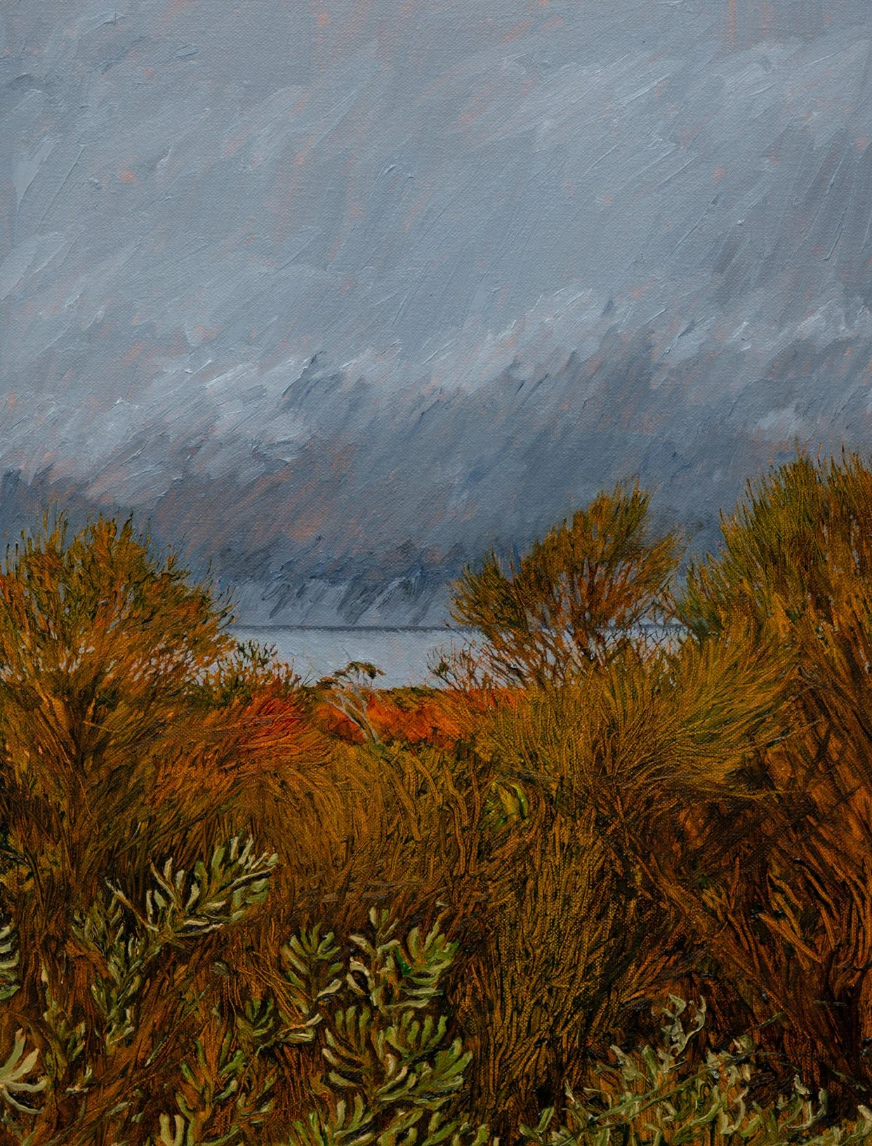 4. Storm Coming FILE.JPG