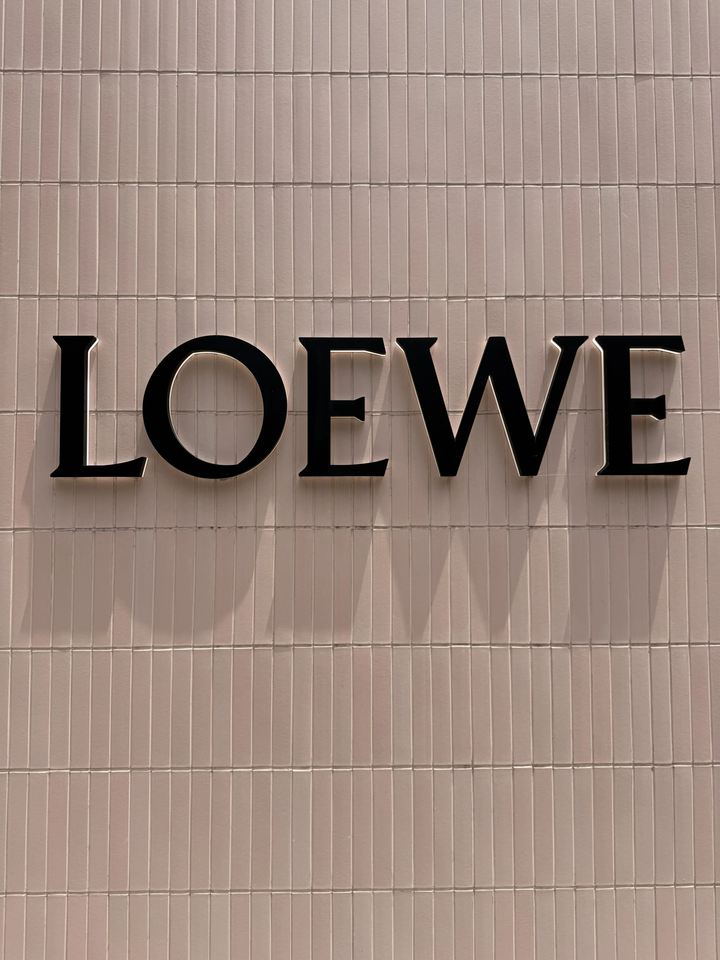  LOEWE - rhythm of blushes and rose tones 