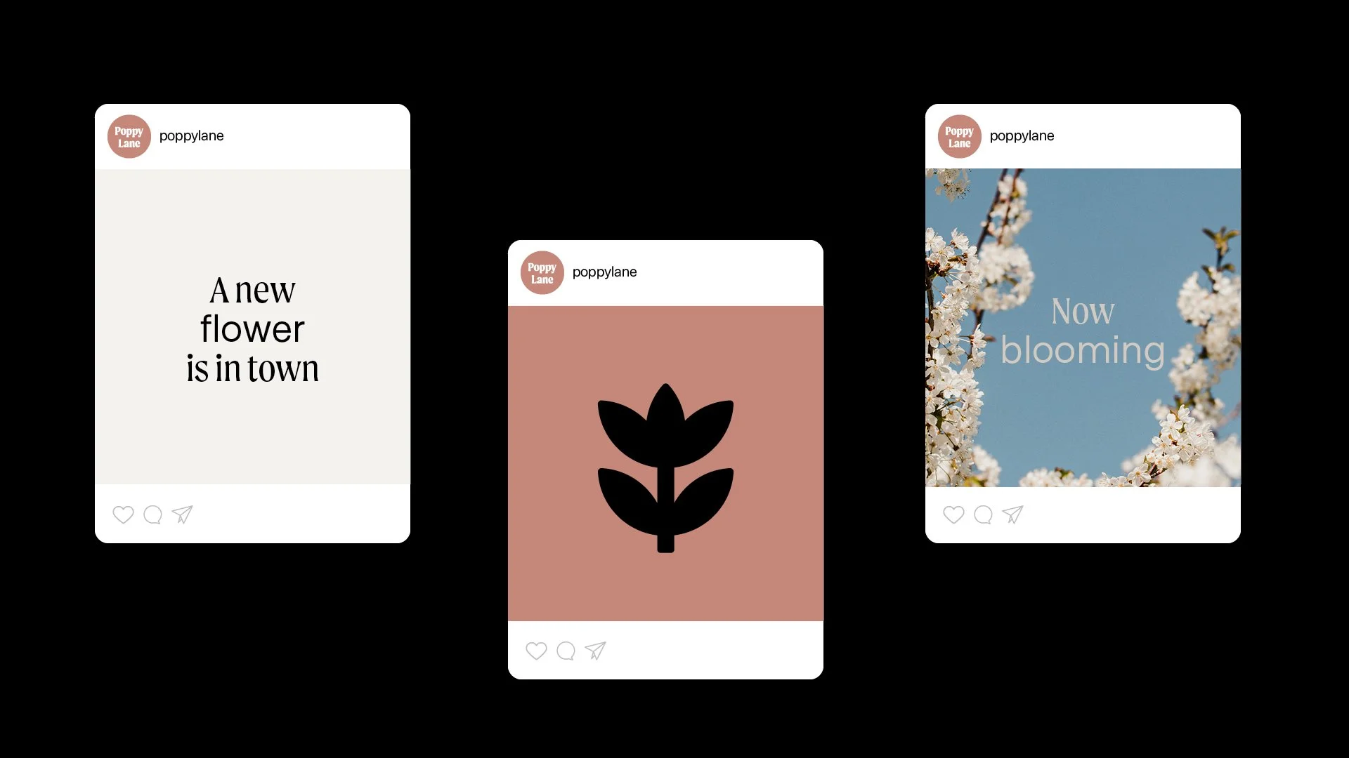 Poppy Lane for Folio_5.jpg