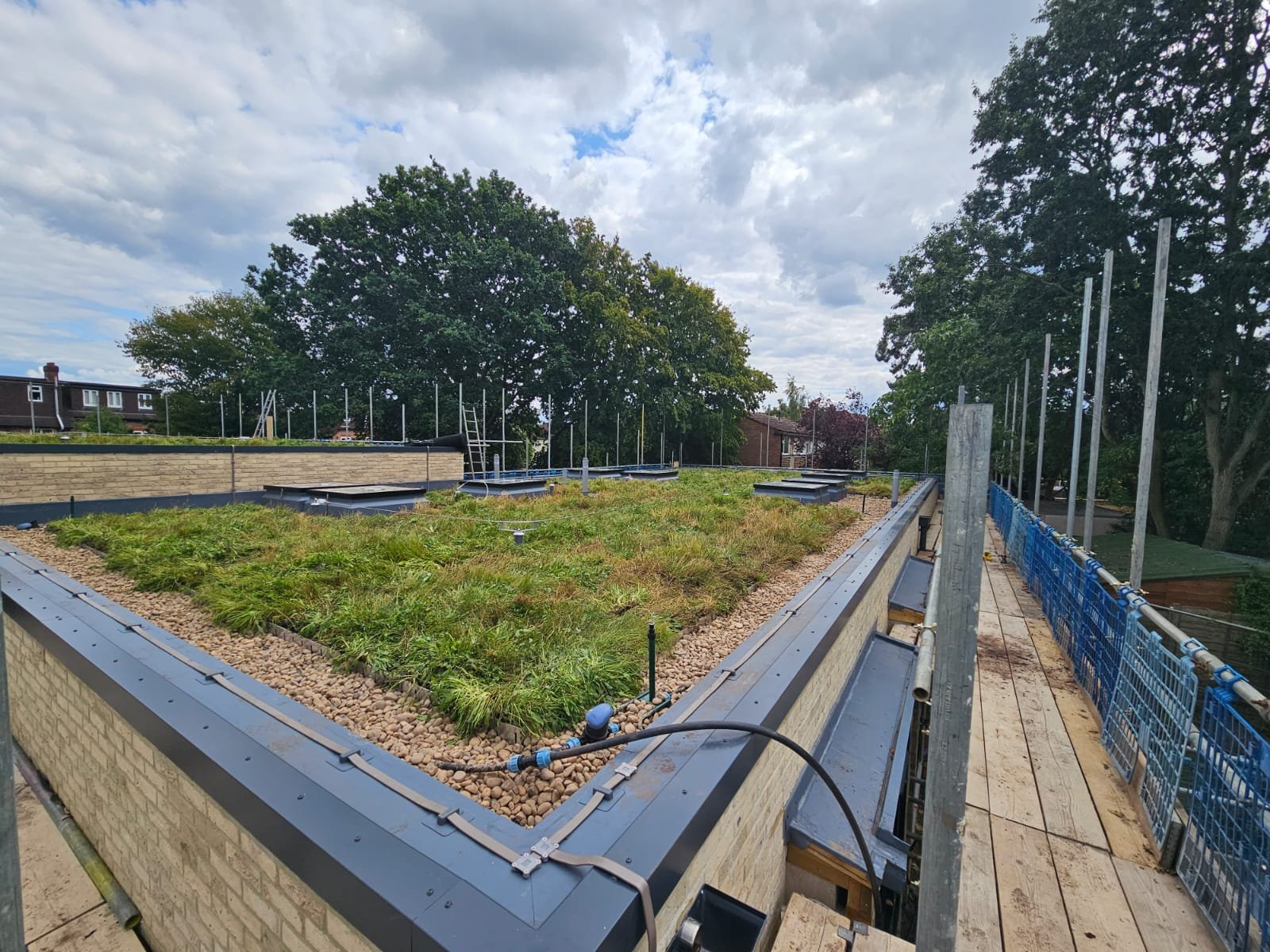 Green-Roofs-3.jpg