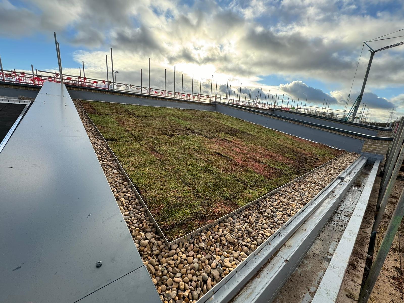 Green-Roofs-6.jpg