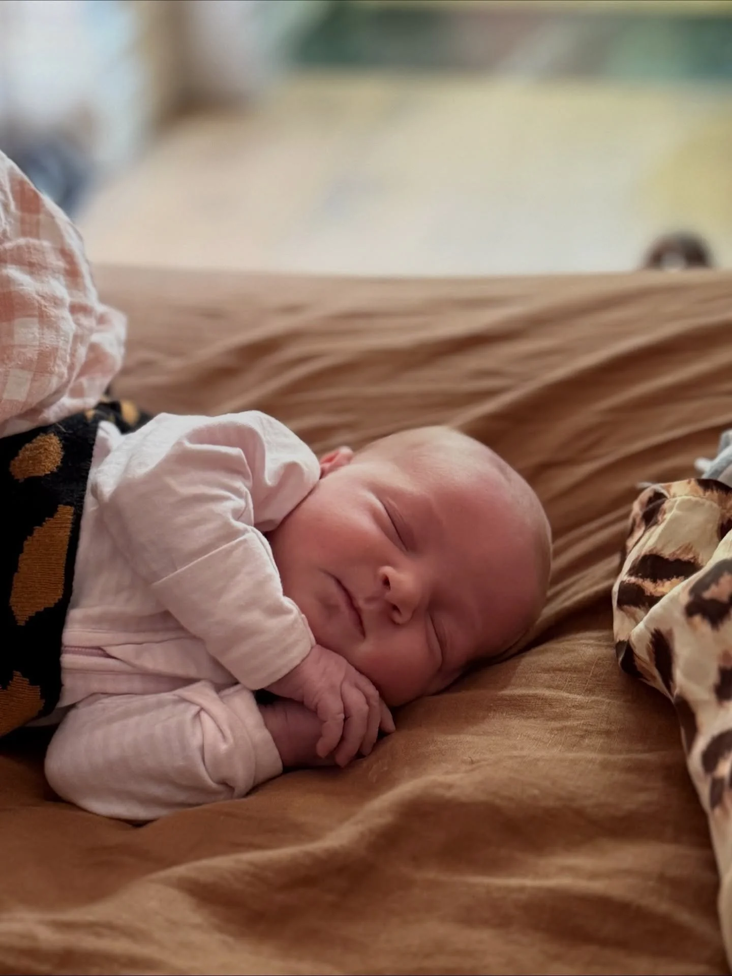Fashionably late, she kept us waiting. On Saturday the 13th September at 10:38am we welcomed Bambi Darling Adair into the world, weighing 3.75kg and 50cm long.

We&rsquo;re absolutely smitten. Both mum and bub are doing really well - Arkley was born 