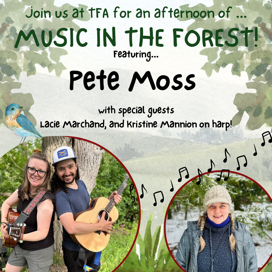 Music in the Forest Event.png