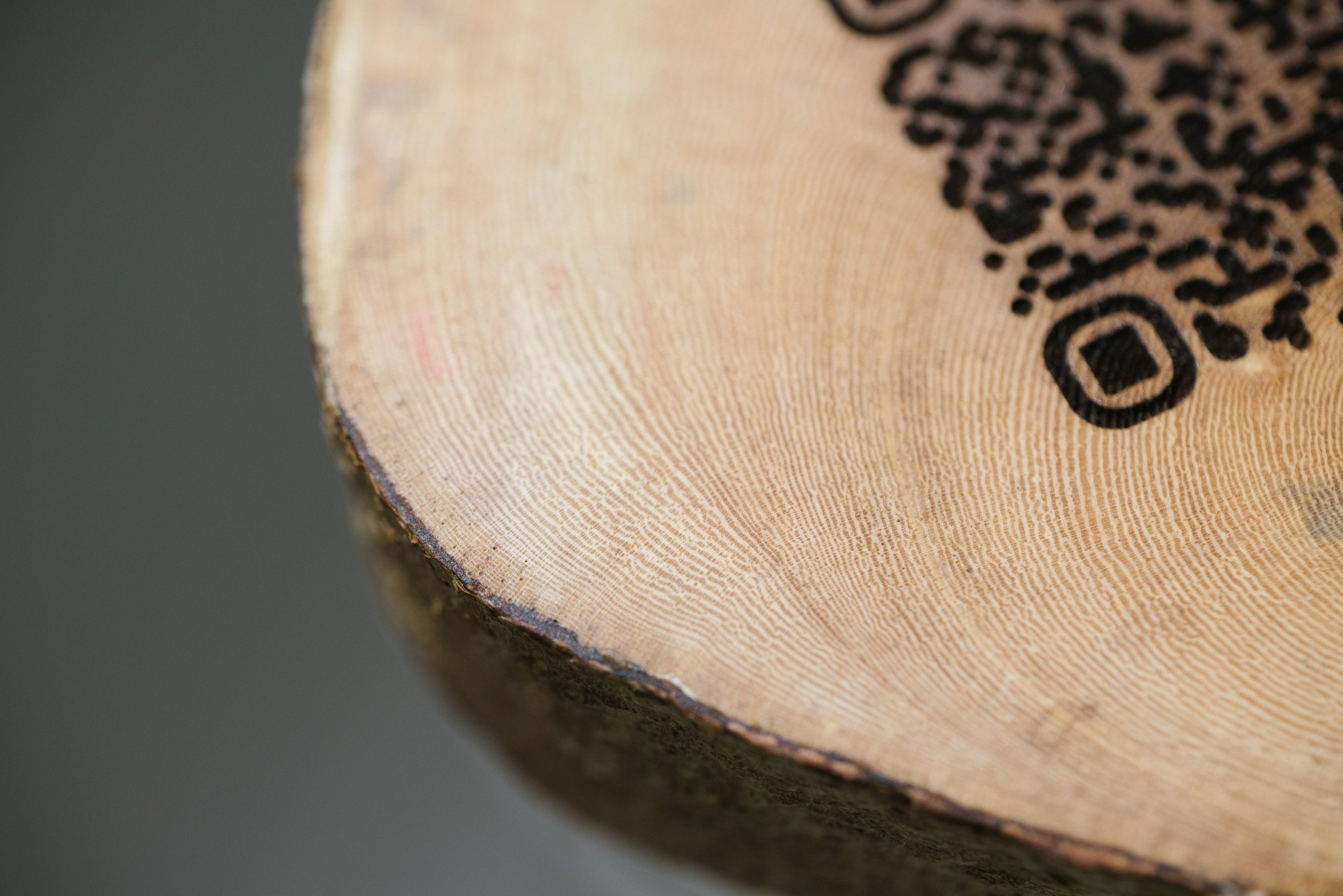 Laser engraved banyan log, QR code directing audience to a 3D scan of the tree.