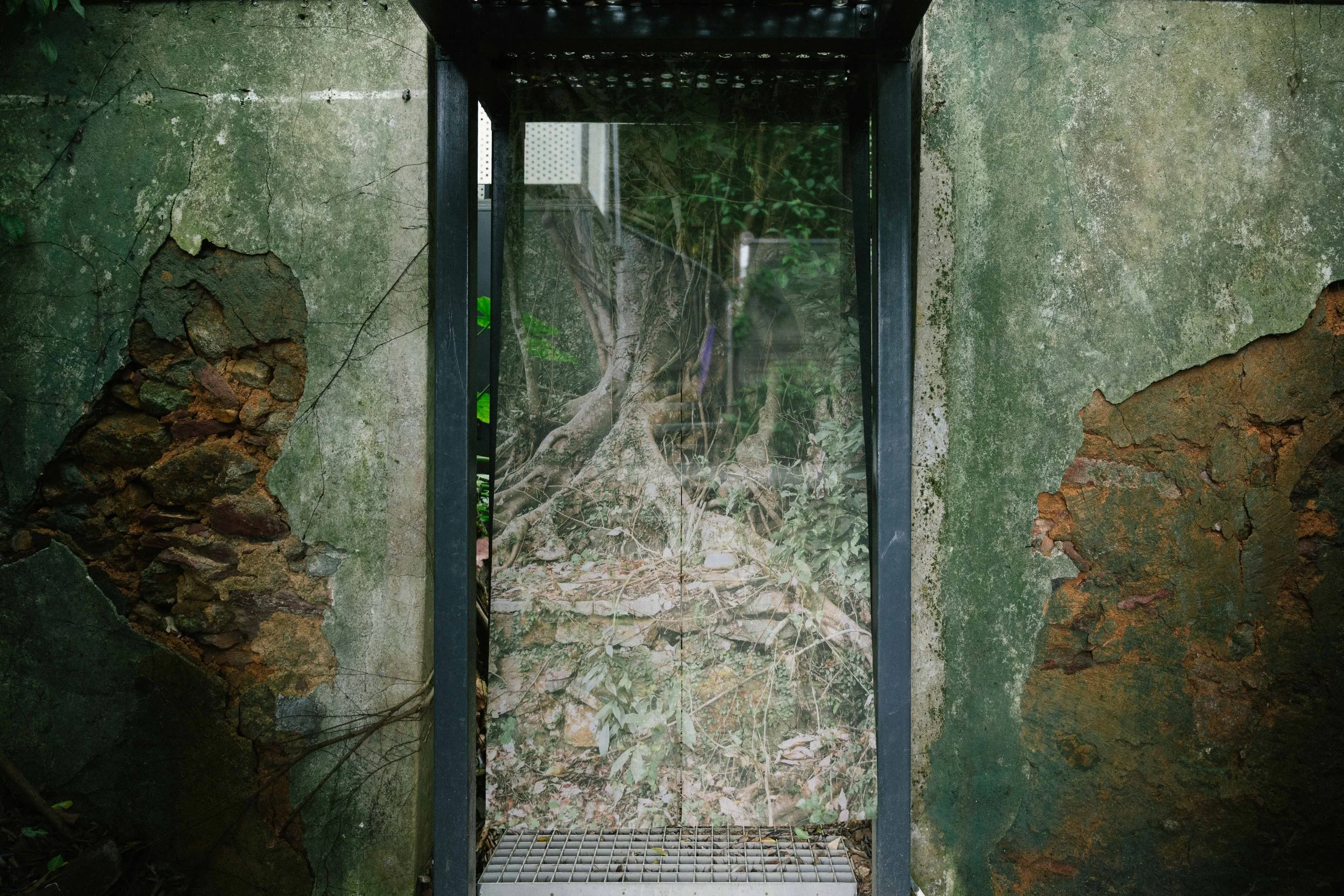 20260523-Where Roots Take Hold-2.jpg