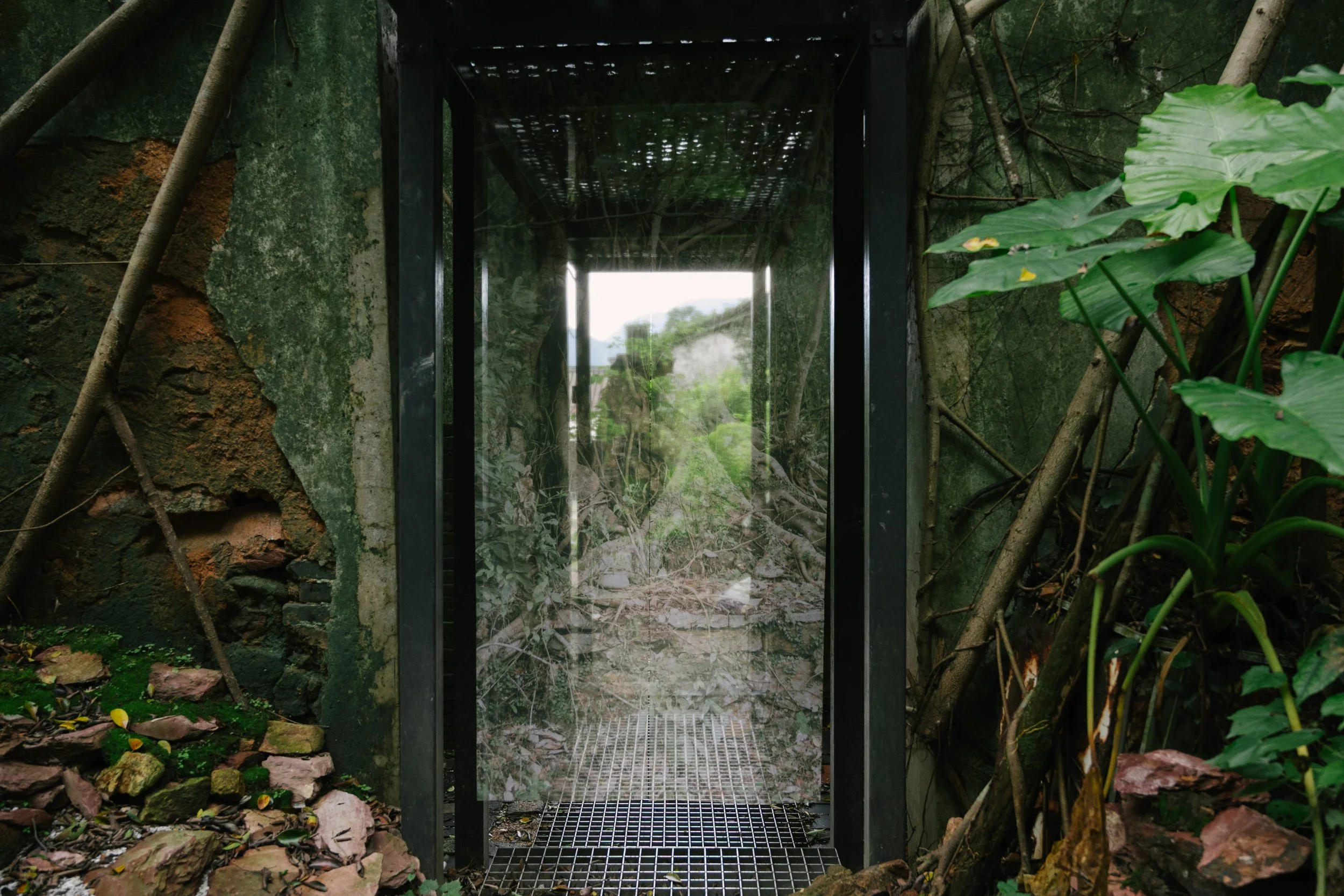 20260523-Where Roots Take Hold-3.jpg