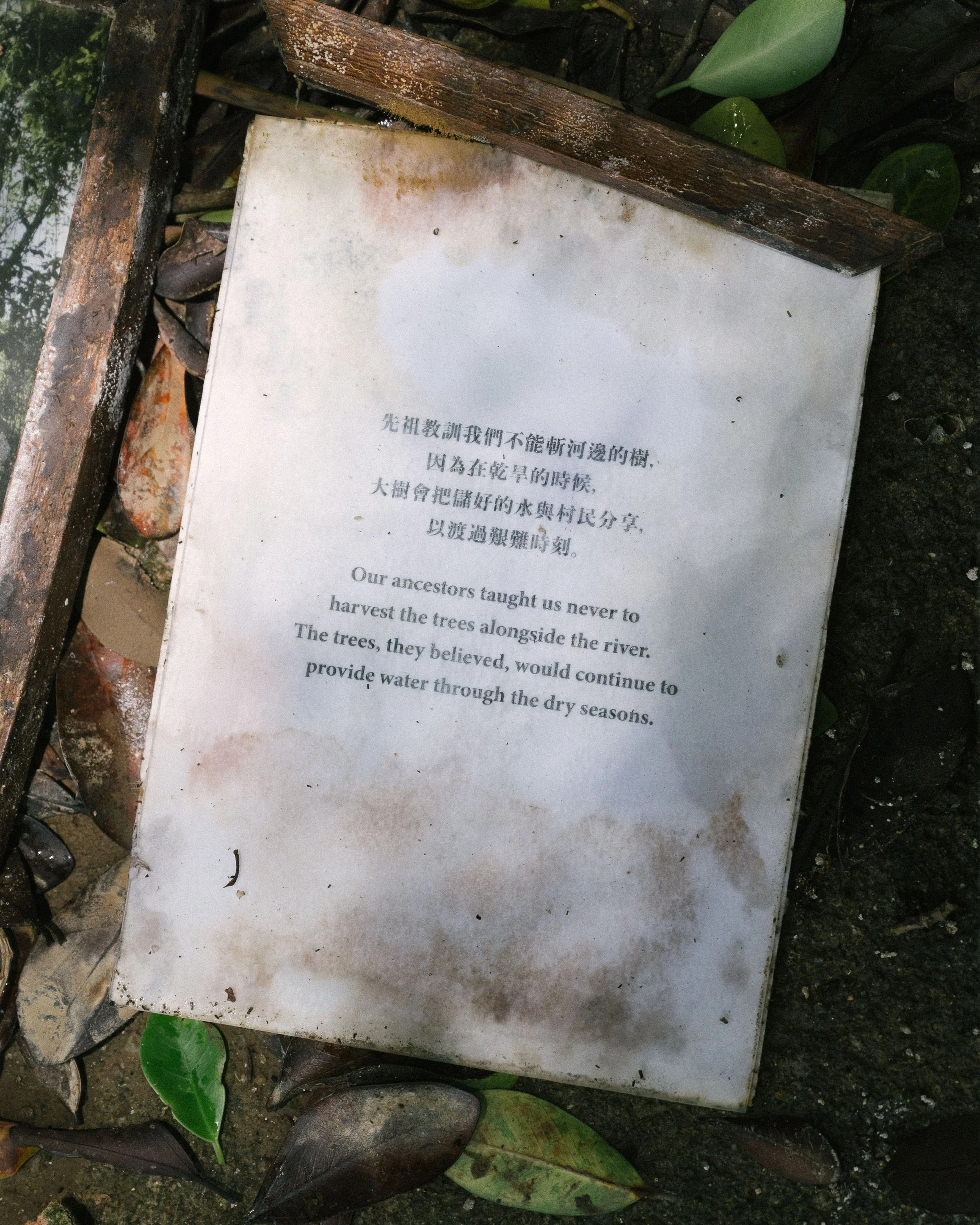 20260623-Dismantle-2.jpg
