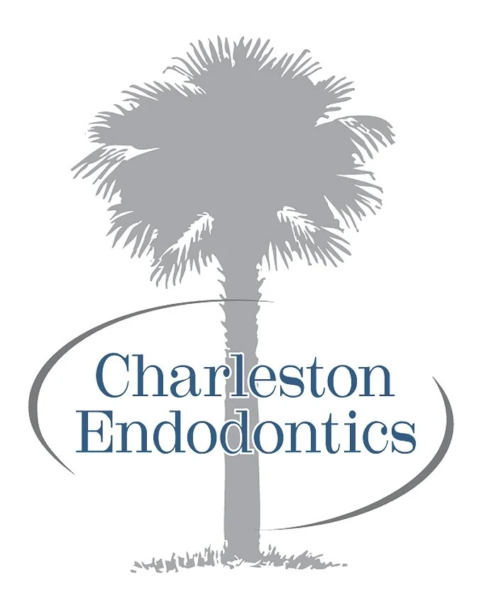 ChsEndoLOGO - Copy.jpg