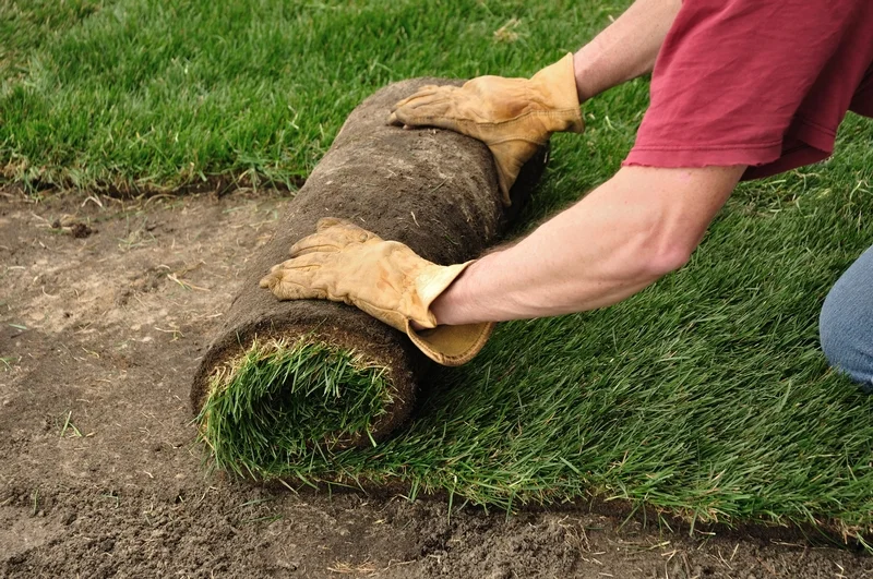 Candyapple's new lawn installation, irrigation systems, fertilizing and mowing can keep your lawn looking its best.