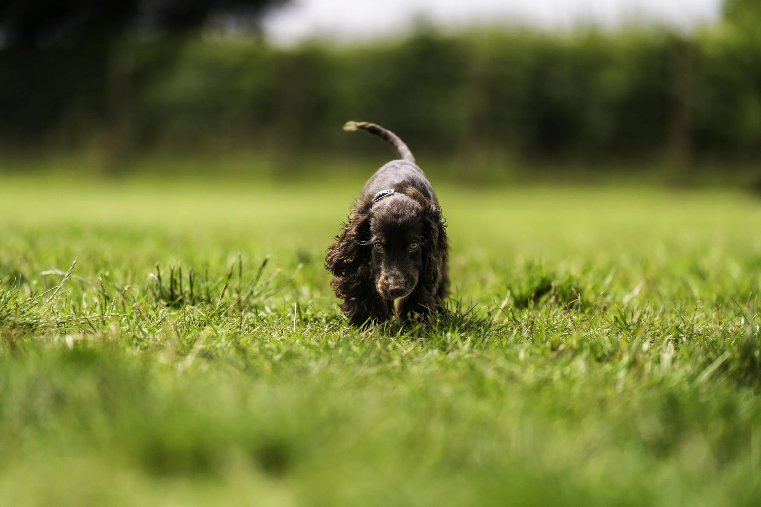 ©Louis James-Parker-05262.jpg