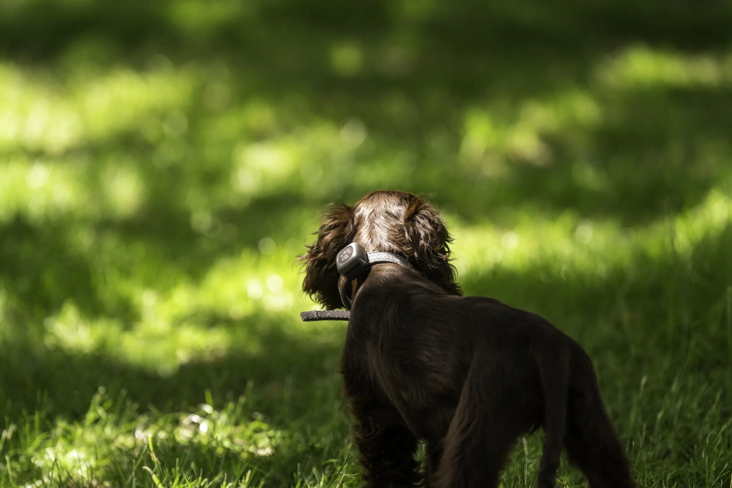 ©Louis James-Parker-05386.jpg