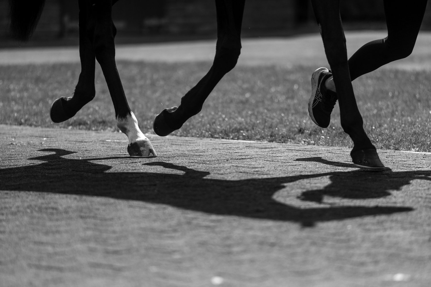 ©Louis James-Parker-01671.jpg